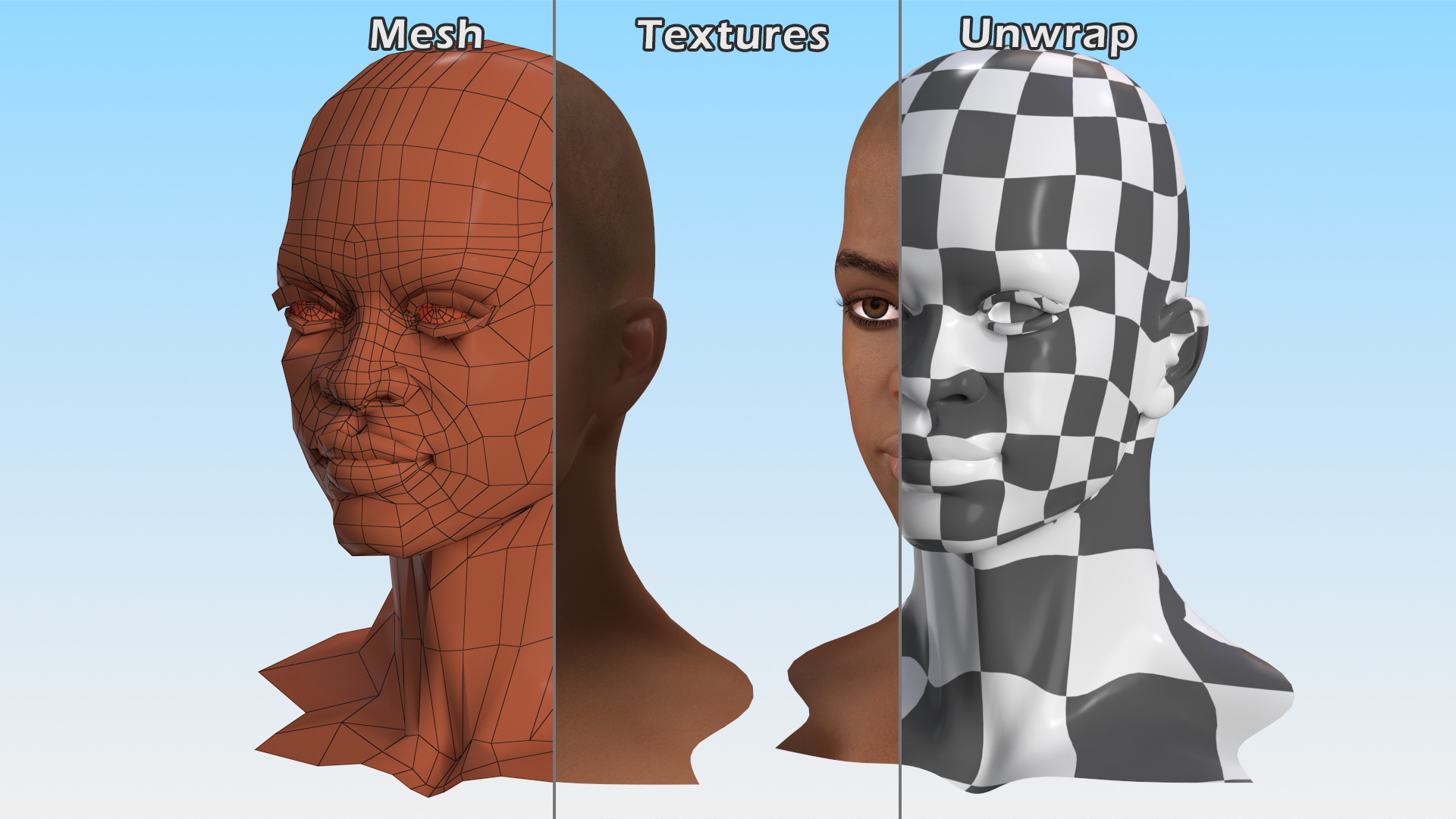 Light Skin Teenager Head 3D model