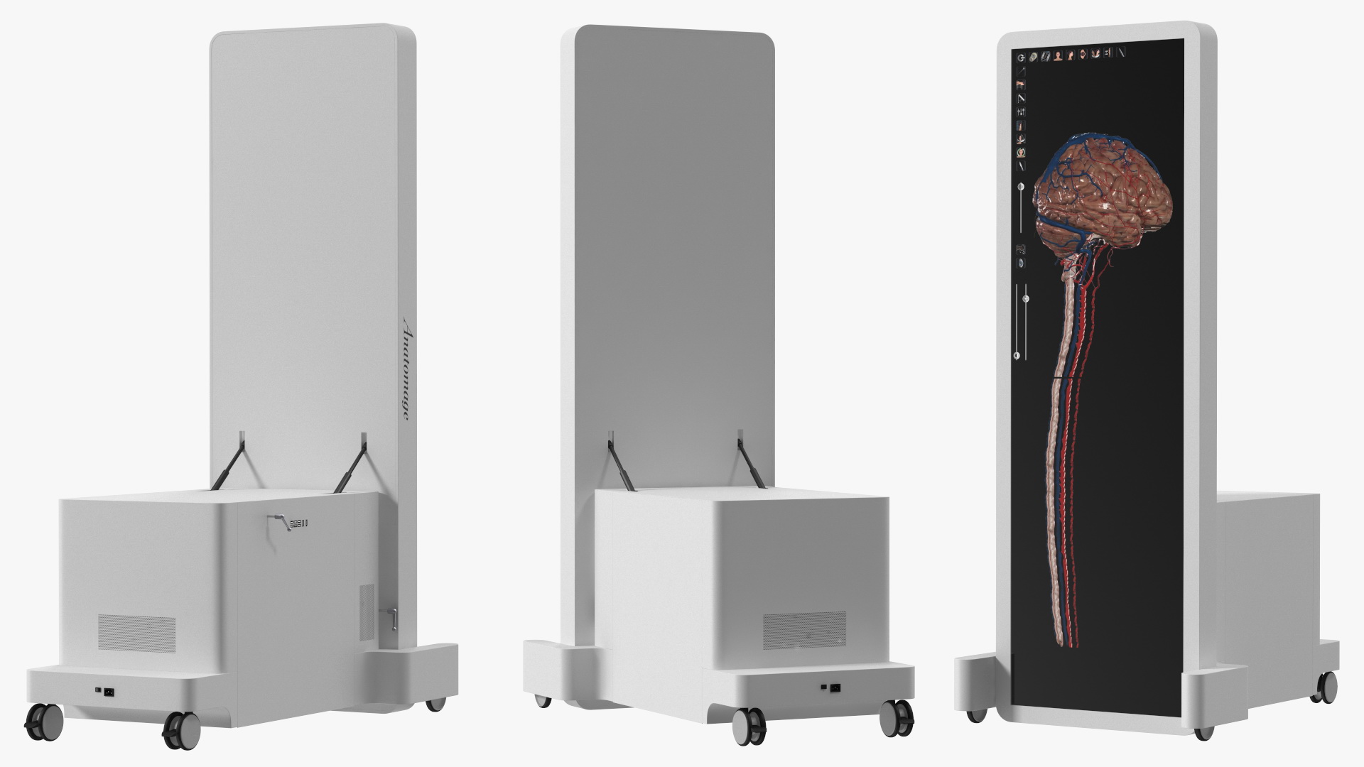 Vertical Interactive Desktop Display Brain Device 3D model