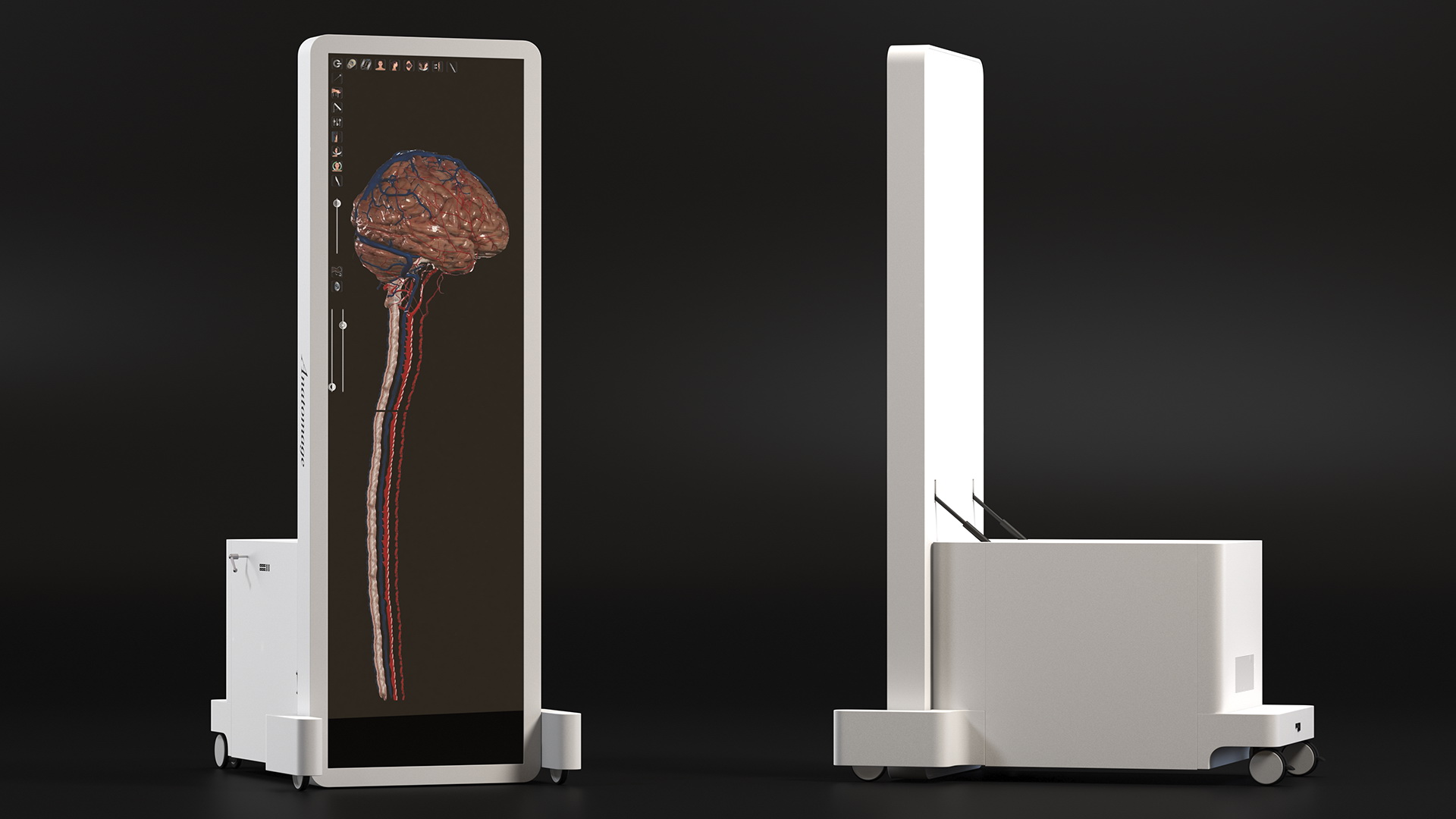 Vertical Interactive Desktop Display Brain Device 3D model