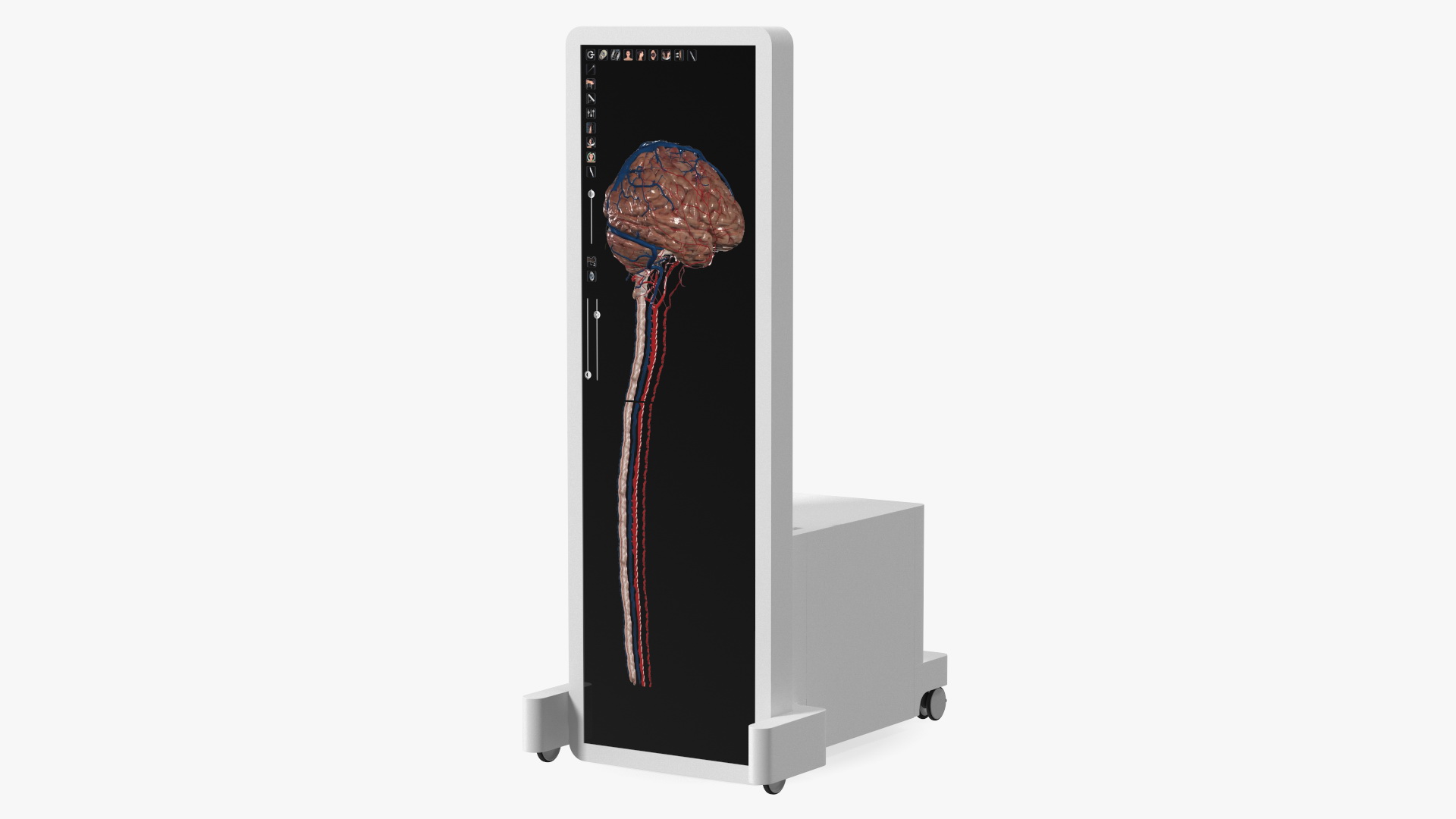 Vertical Interactive Desktop Display Brain Device 3D model