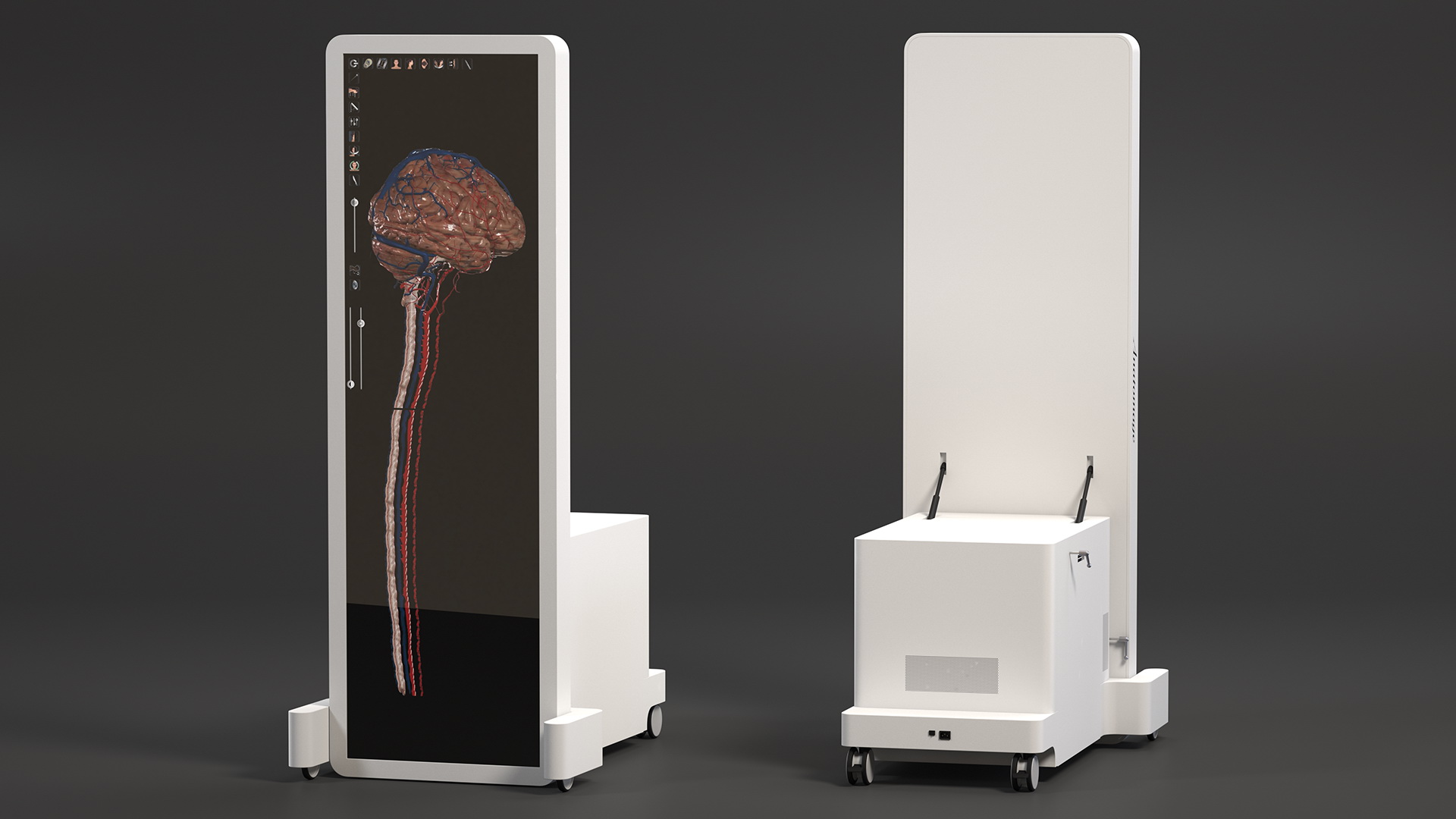 Vertical Interactive Desktop Display Brain Device 3D model