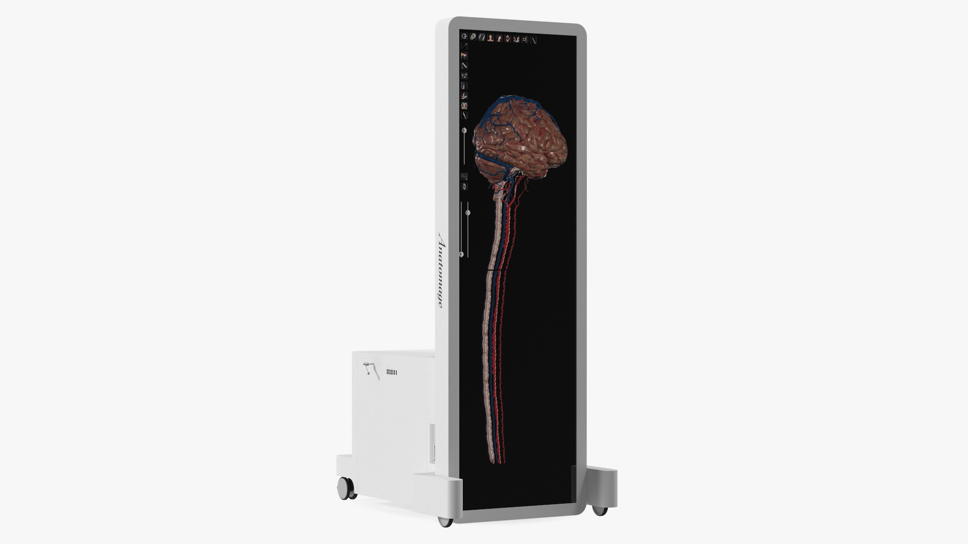 Vertical Interactive Desktop Display Brain Device 3D model
