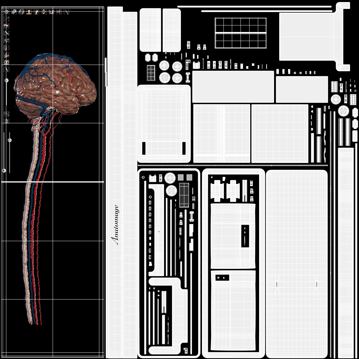 Vertical Interactive Desktop Display Brain Device 3D model