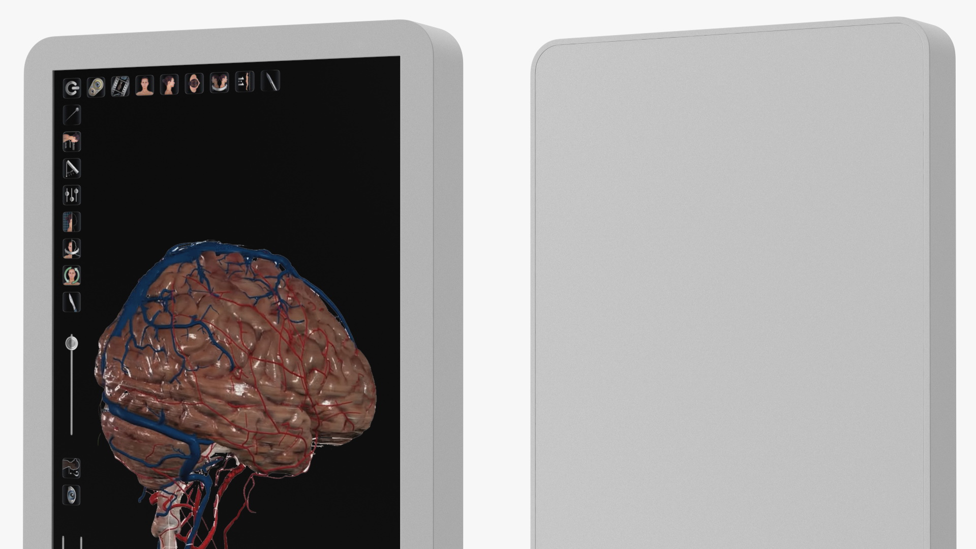 Vertical Interactive Desktop Display Brain Device 3D model