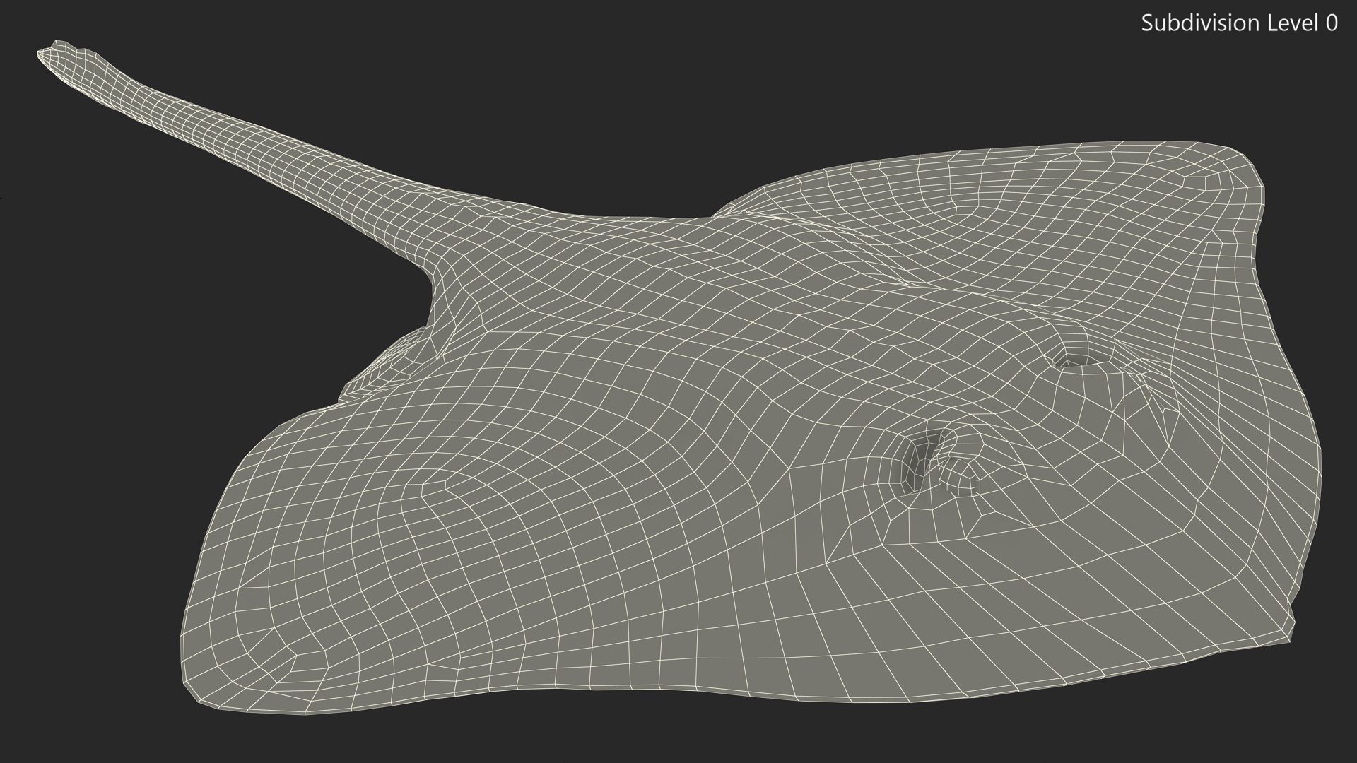Bathyraja Lindbergi White Rigged 3D