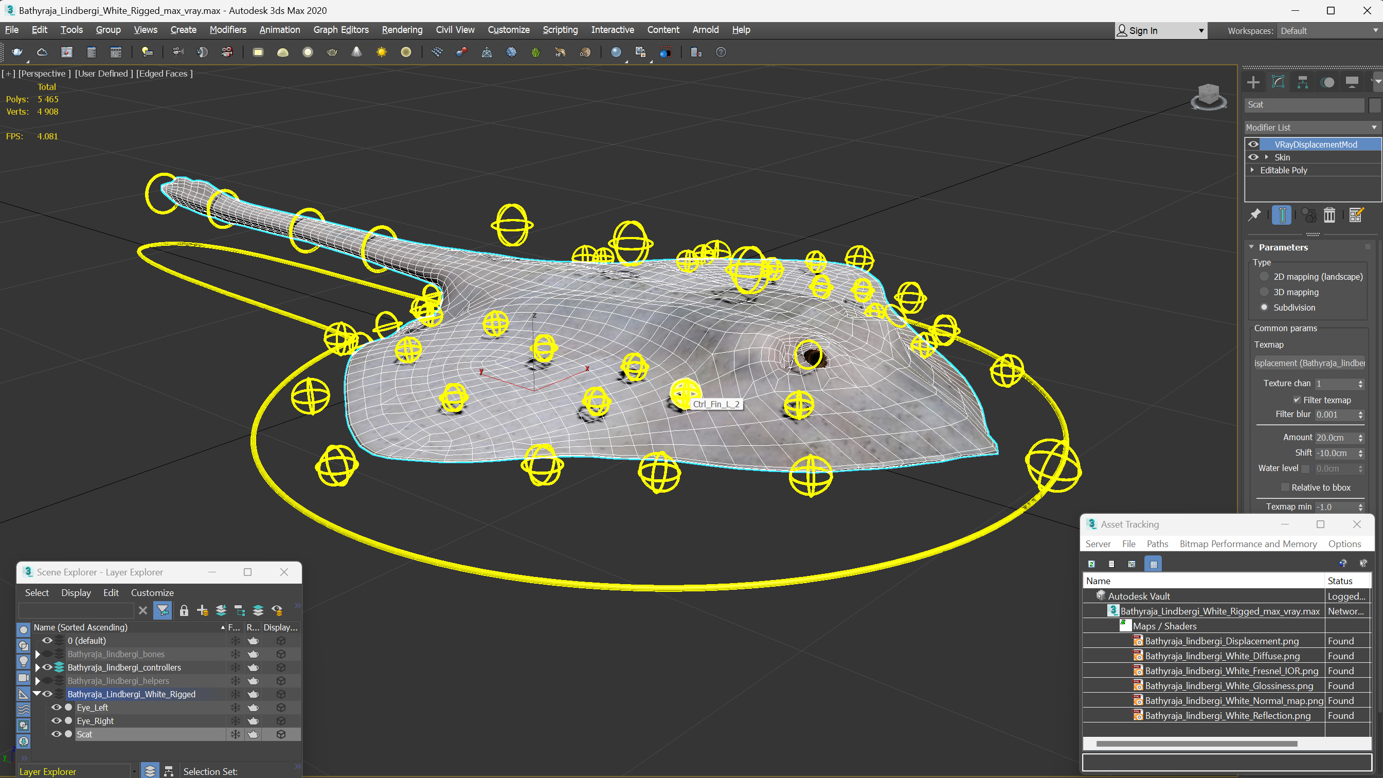Bathyraja Lindbergi White Rigged 3D