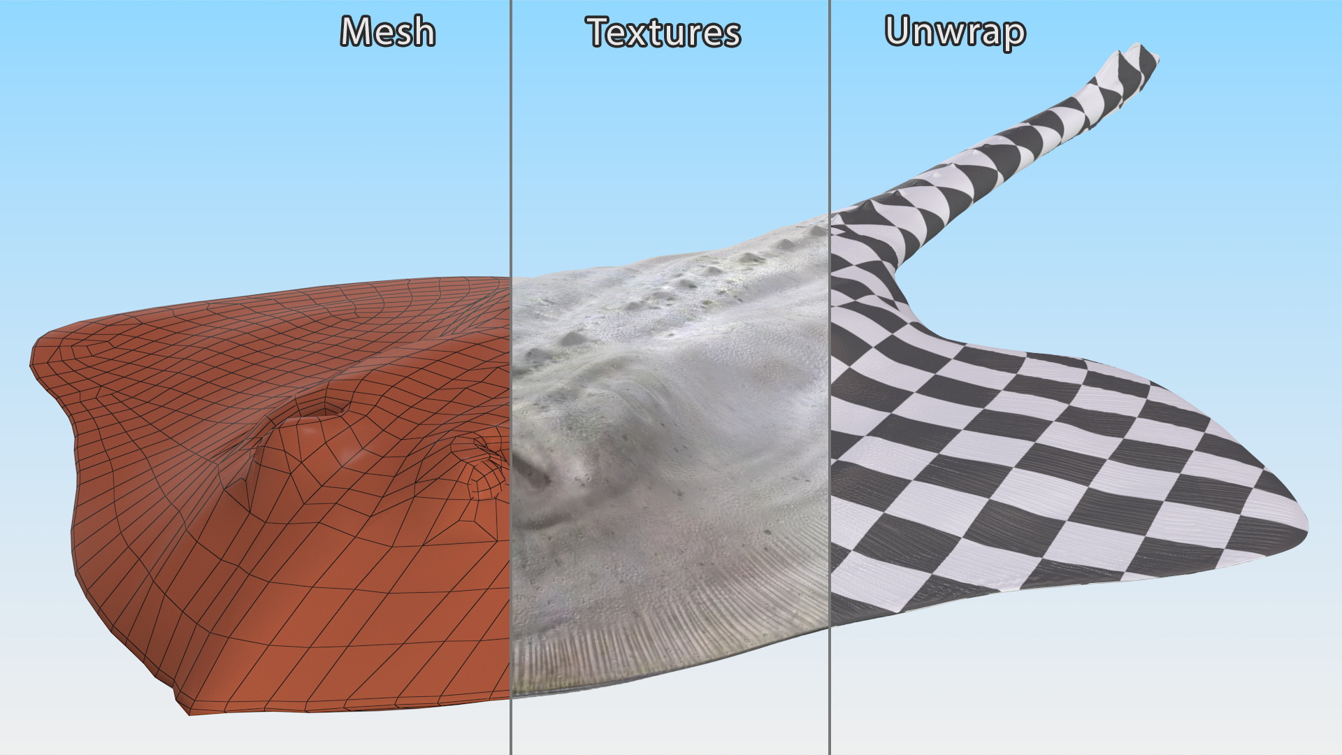 Bathyraja Lindbergi White Rigged 3D