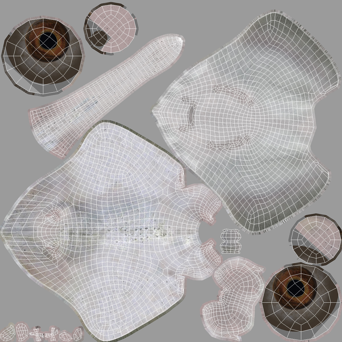 Bathyraja Lindbergi White Rigged 3D