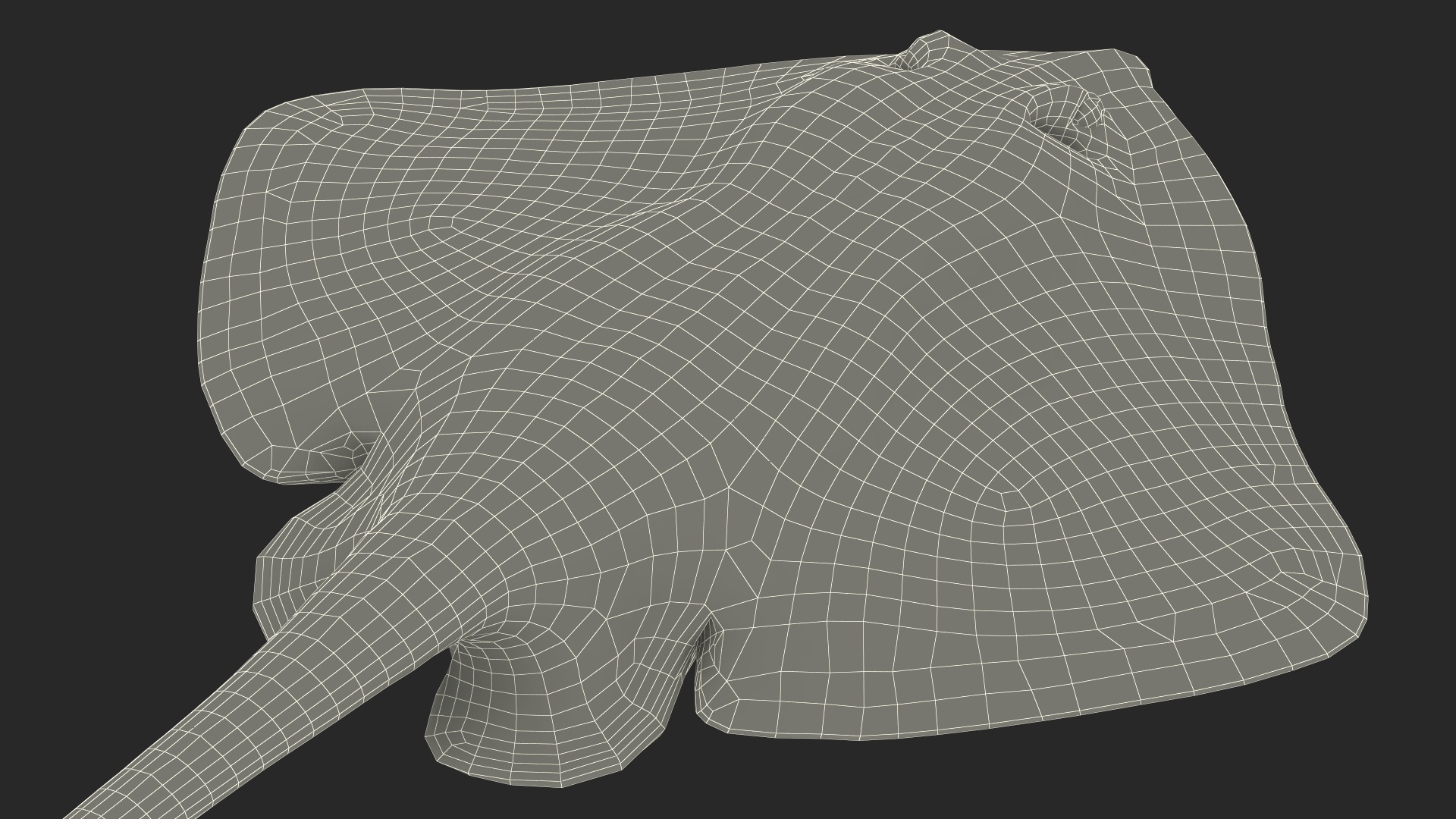 Bathyraja Lindbergi White Rigged 3D