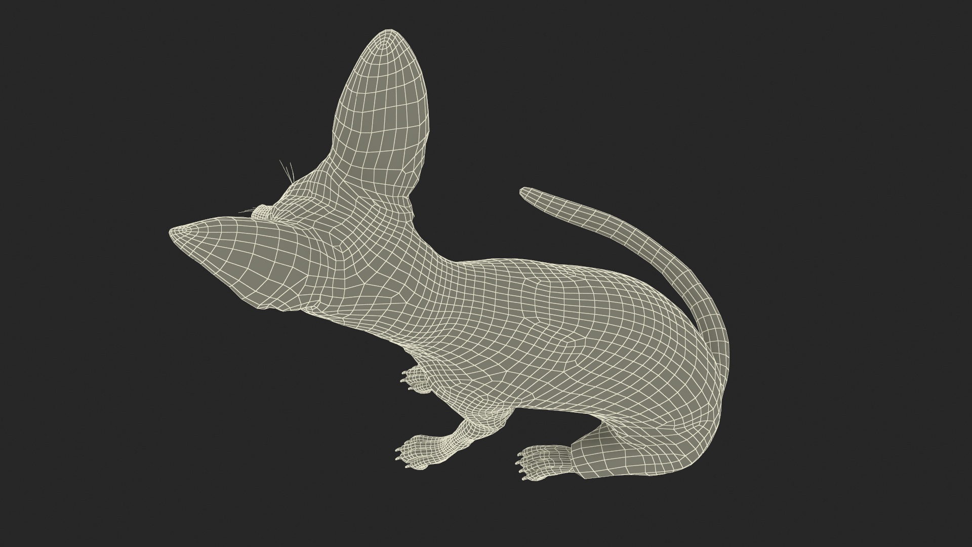 Vulpes Zerda Sitting Pose Fur 3D model