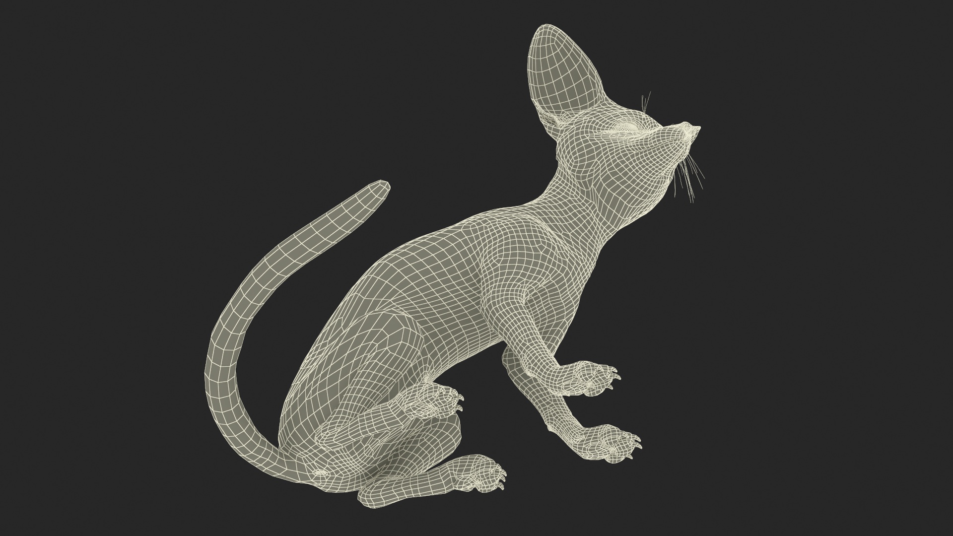 Vulpes Zerda Sitting Pose Fur 3D model