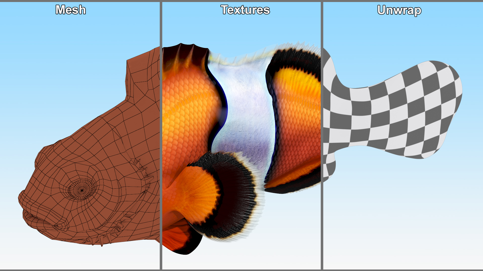 3D model Realistic Clownfish Rigged for Maya