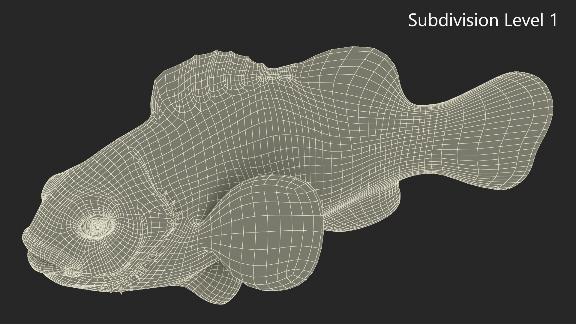 3D model Realistic Clownfish Rigged for Maya