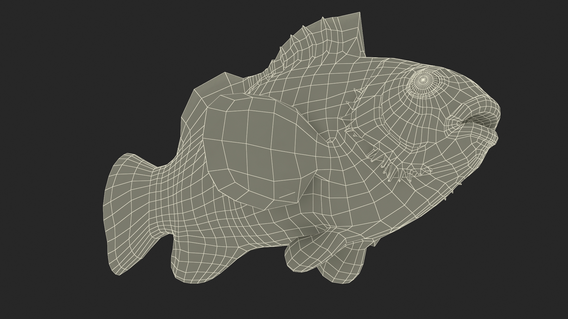 3D model Realistic Clownfish Rigged for Maya