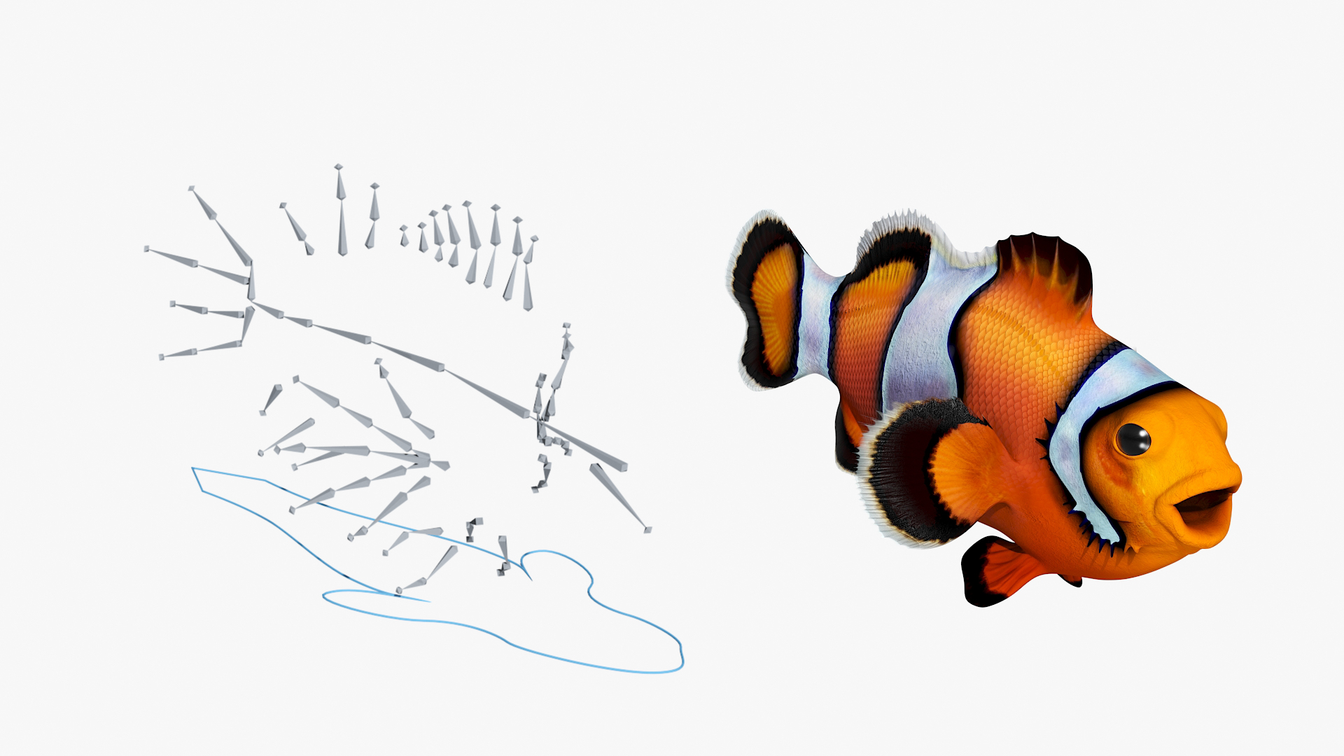 3D model Realistic Clownfish Rigged for Maya