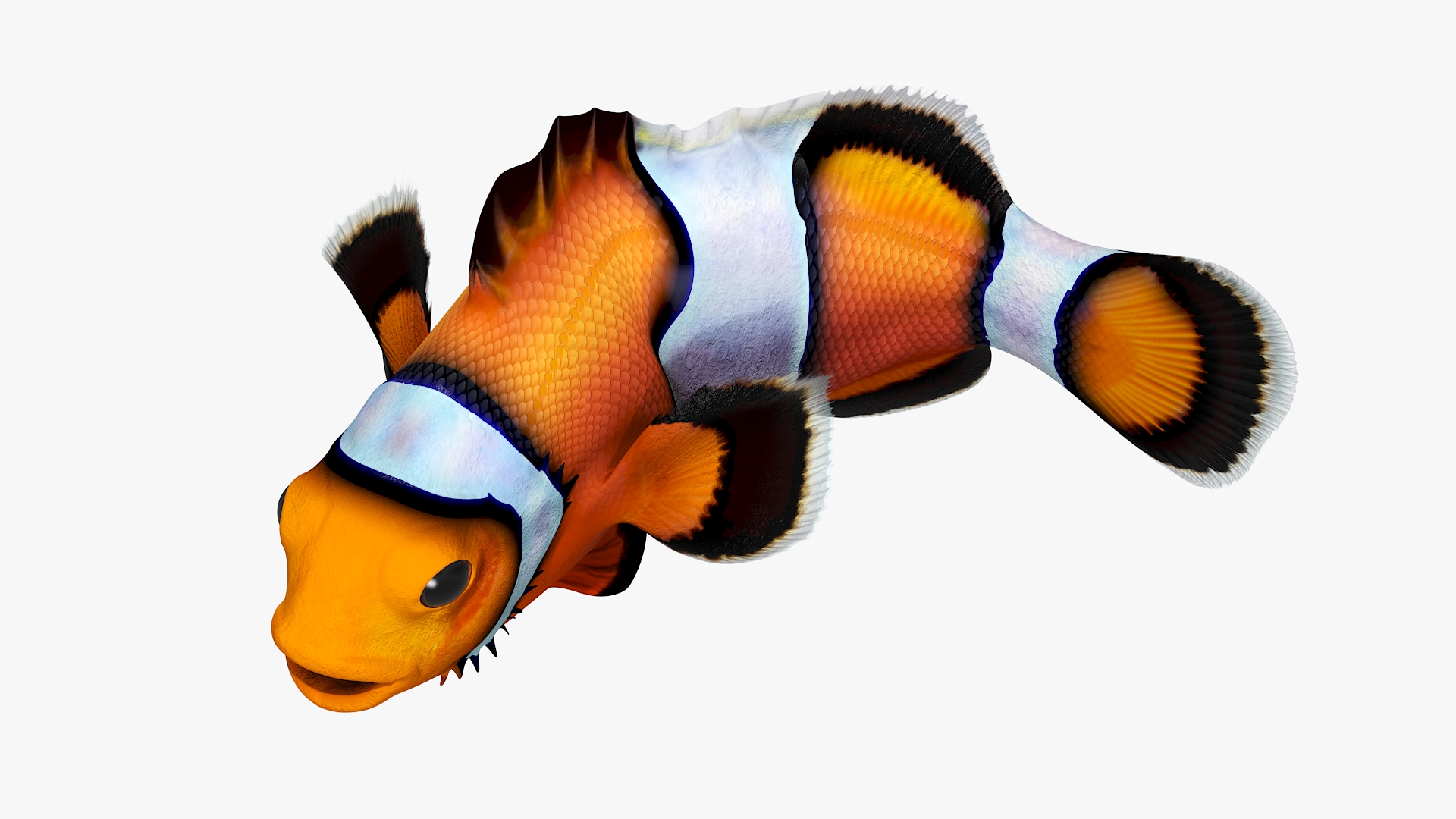 3D model Realistic Clownfish Rigged for Maya