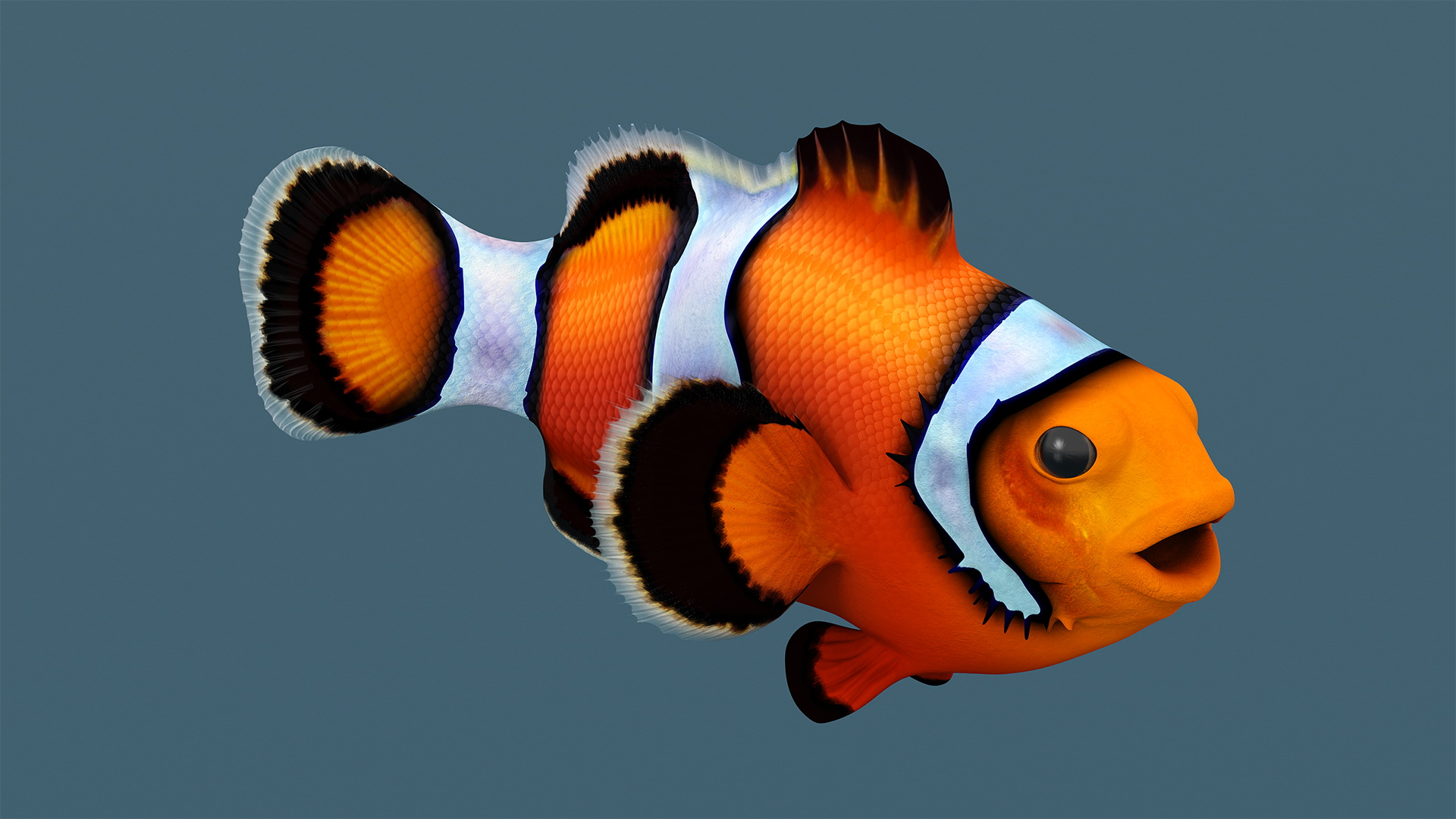 3D model Realistic Clownfish Rigged for Maya