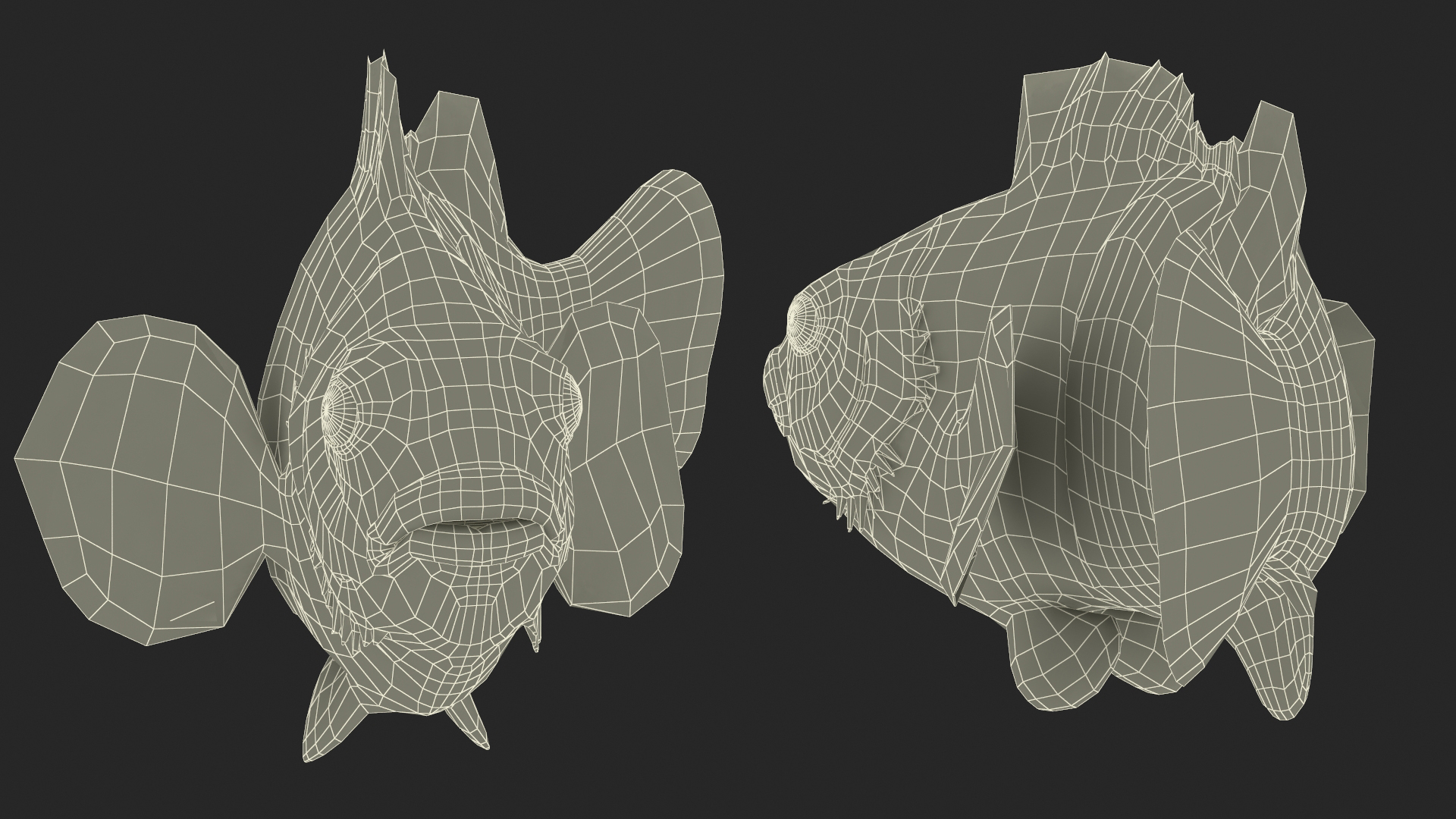 3D model Realistic Clownfish Rigged for Maya
