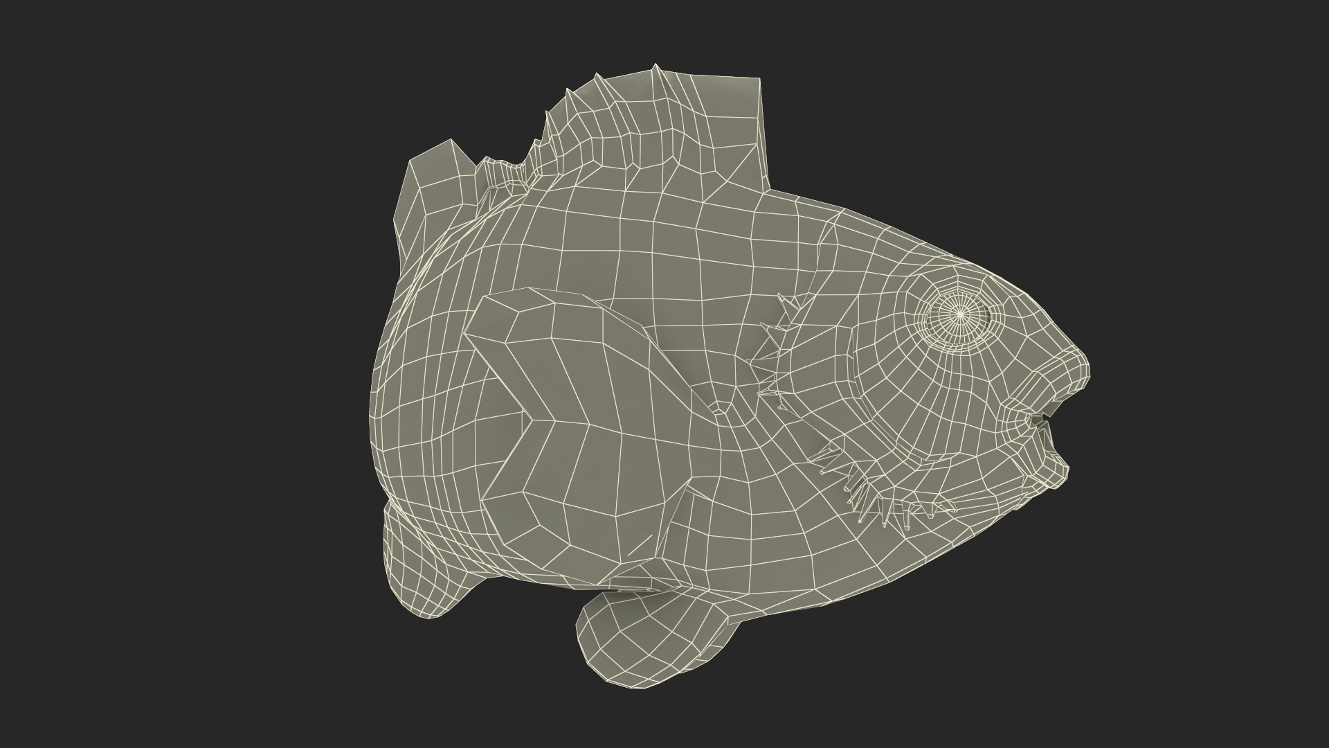 3D model Realistic Clownfish Rigged for Maya