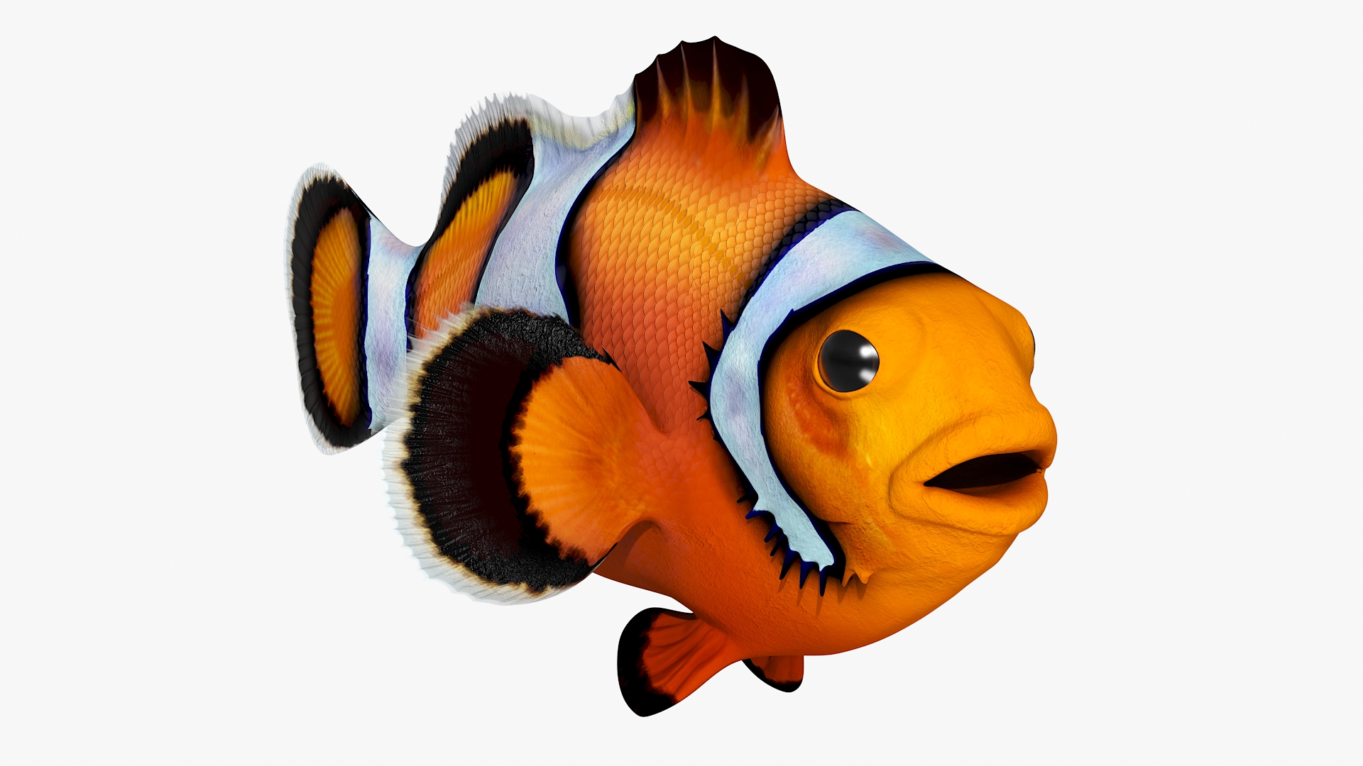 3D model Realistic Clownfish Rigged for Maya