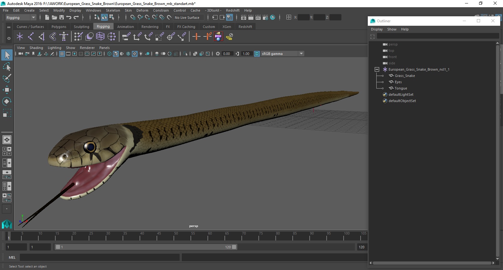 3D European Grass Snake Brown