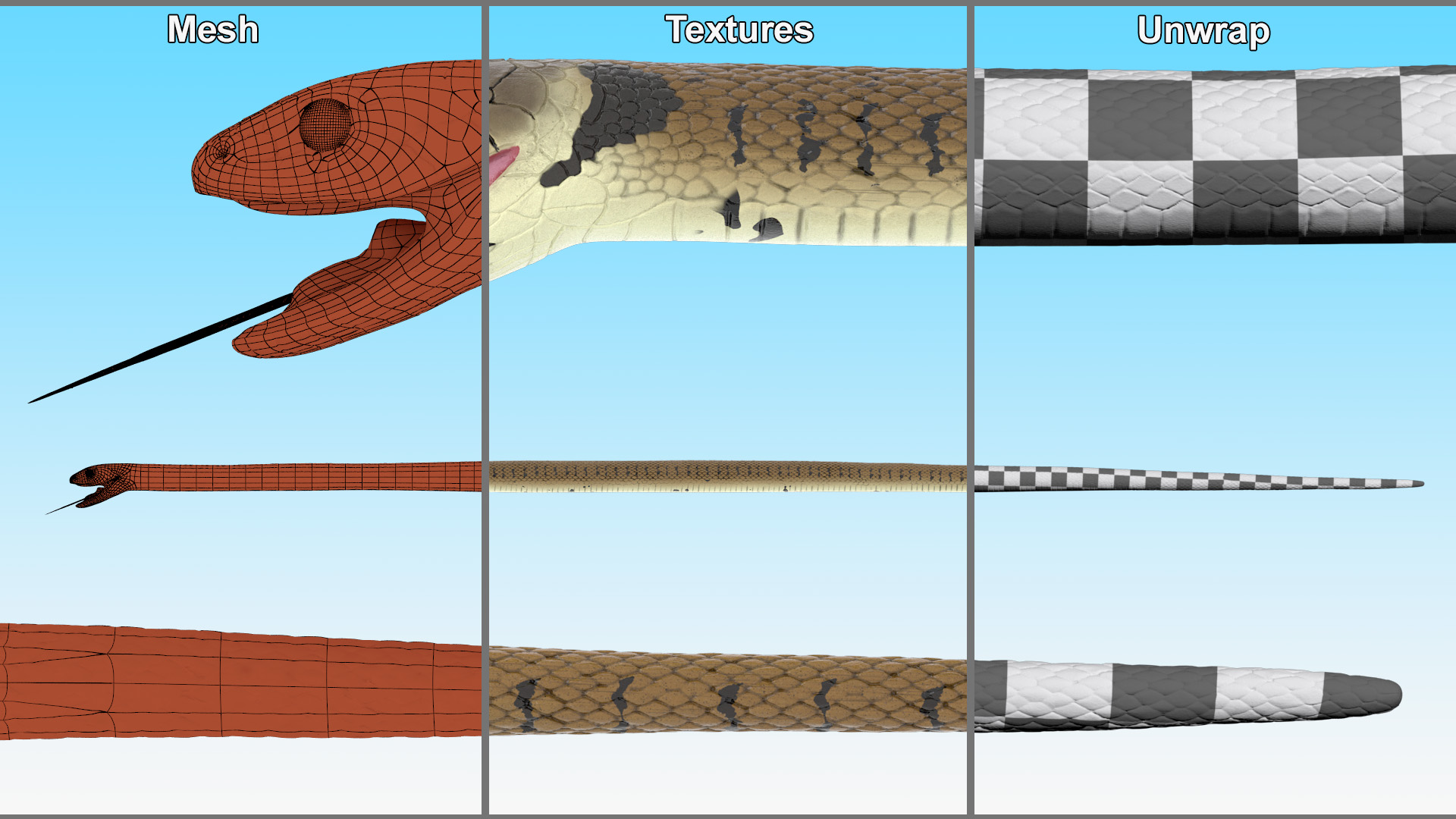 3D European Grass Snake Brown
