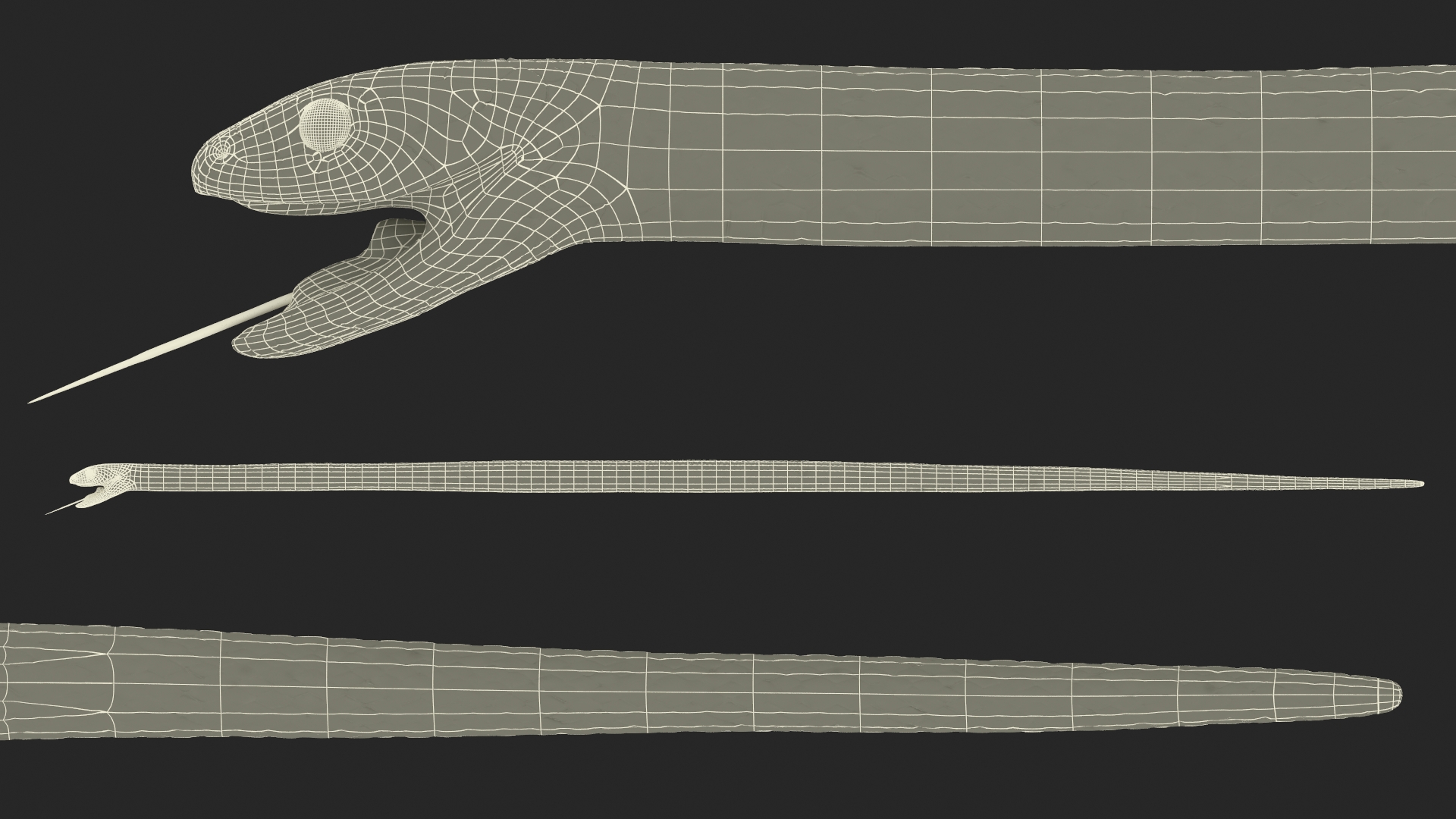 3D European Grass Snake Brown