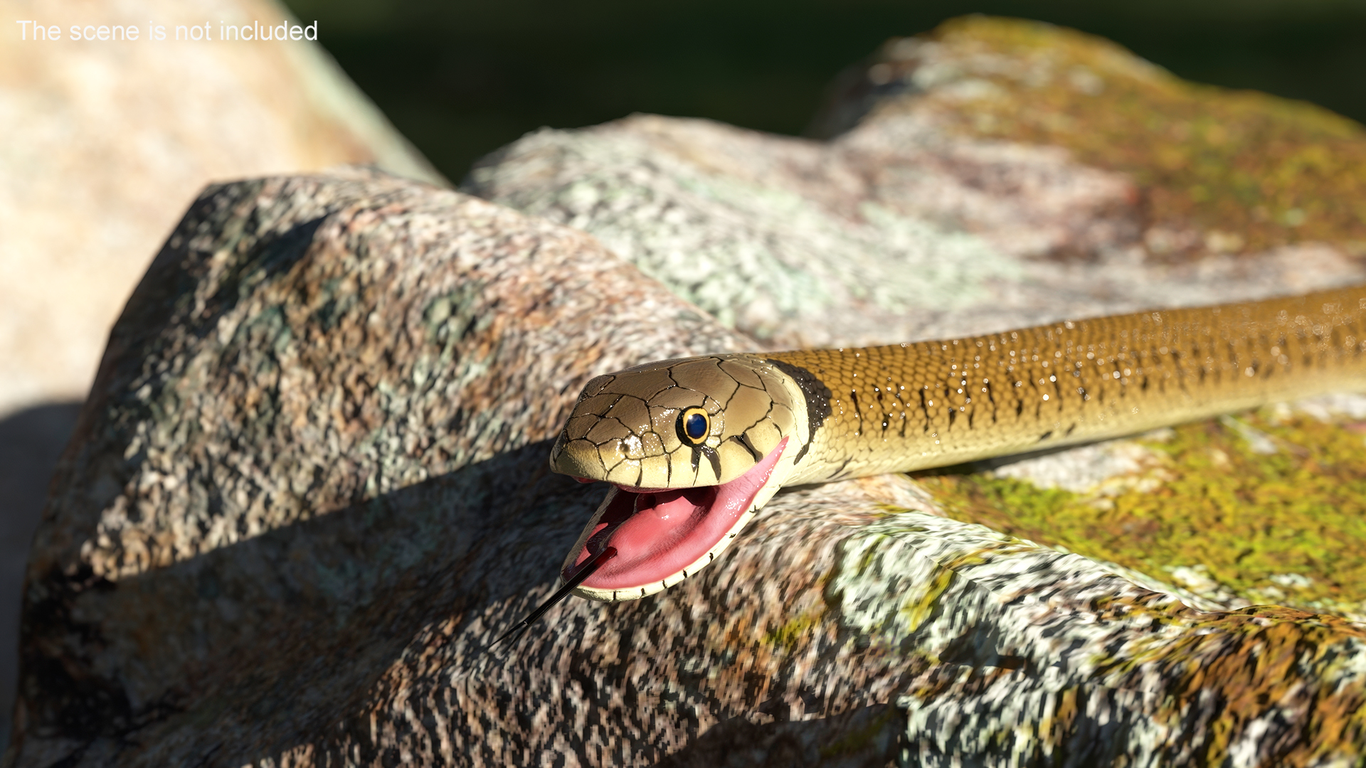 3D European Grass Snake Brown
