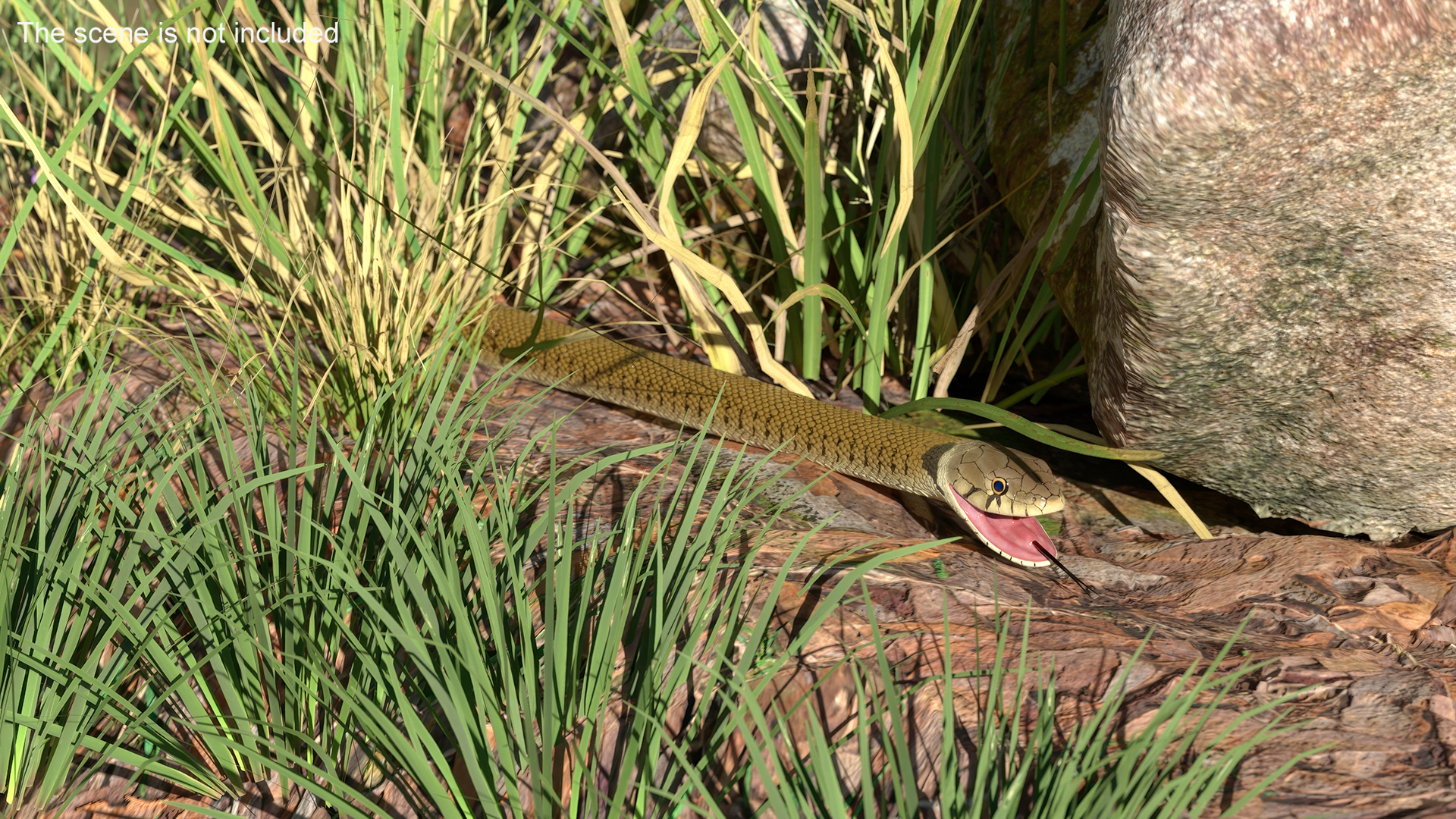3D European Grass Snake Brown