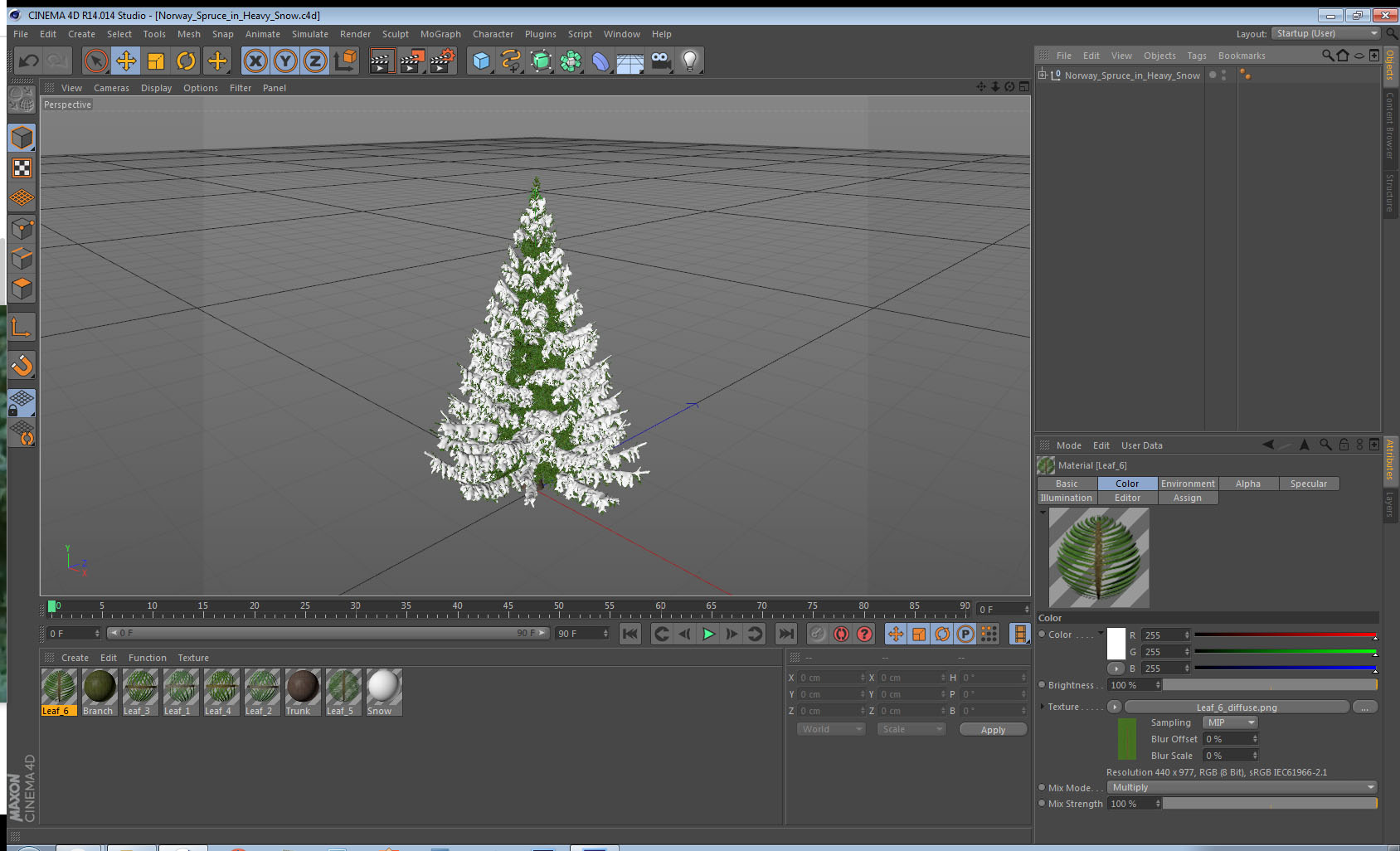Norway Spruce in Heavy Snow 3D