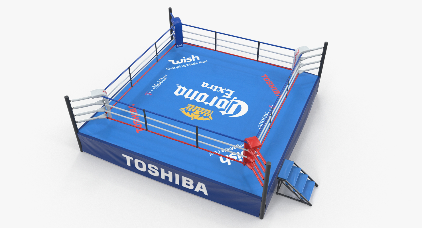 3D Boxing Ring