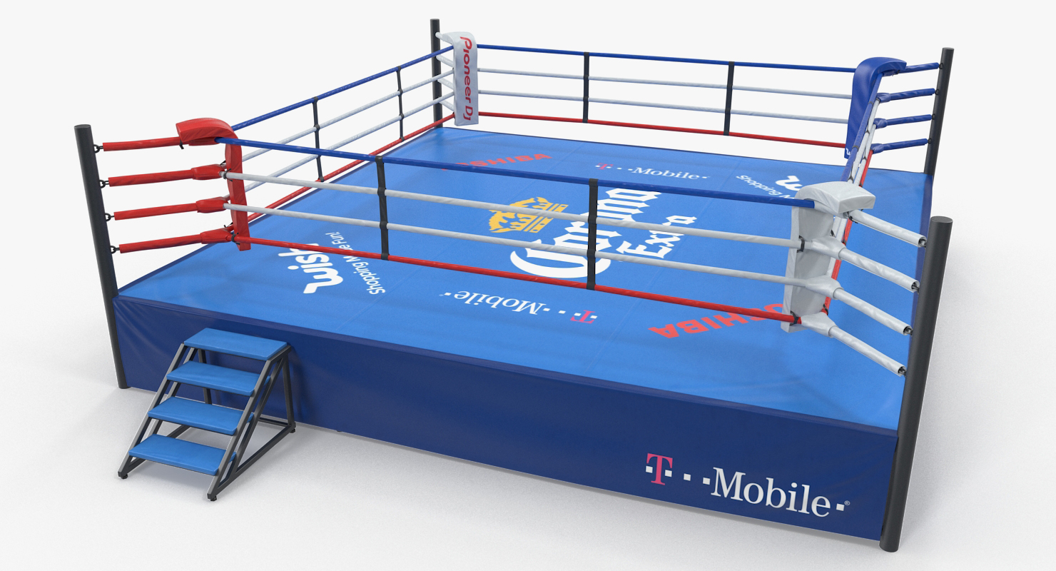 3D Boxing Ring
