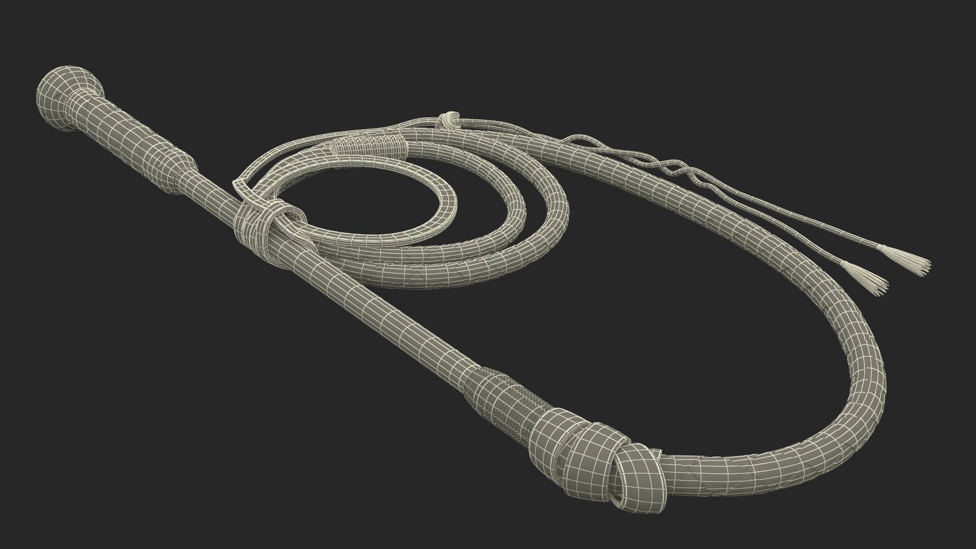 Leather Whip Braided Brown Rigged for Cinema 4D 3D