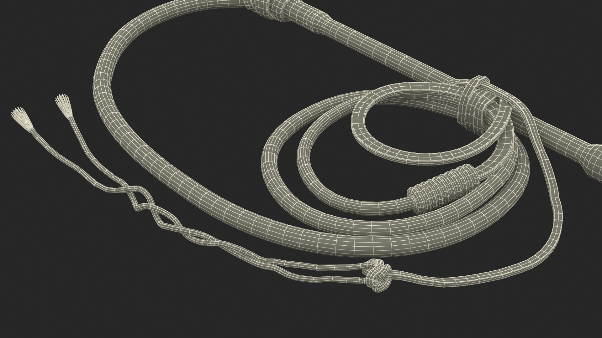 Leather Whip Braided Brown Rigged for Cinema 4D 3D