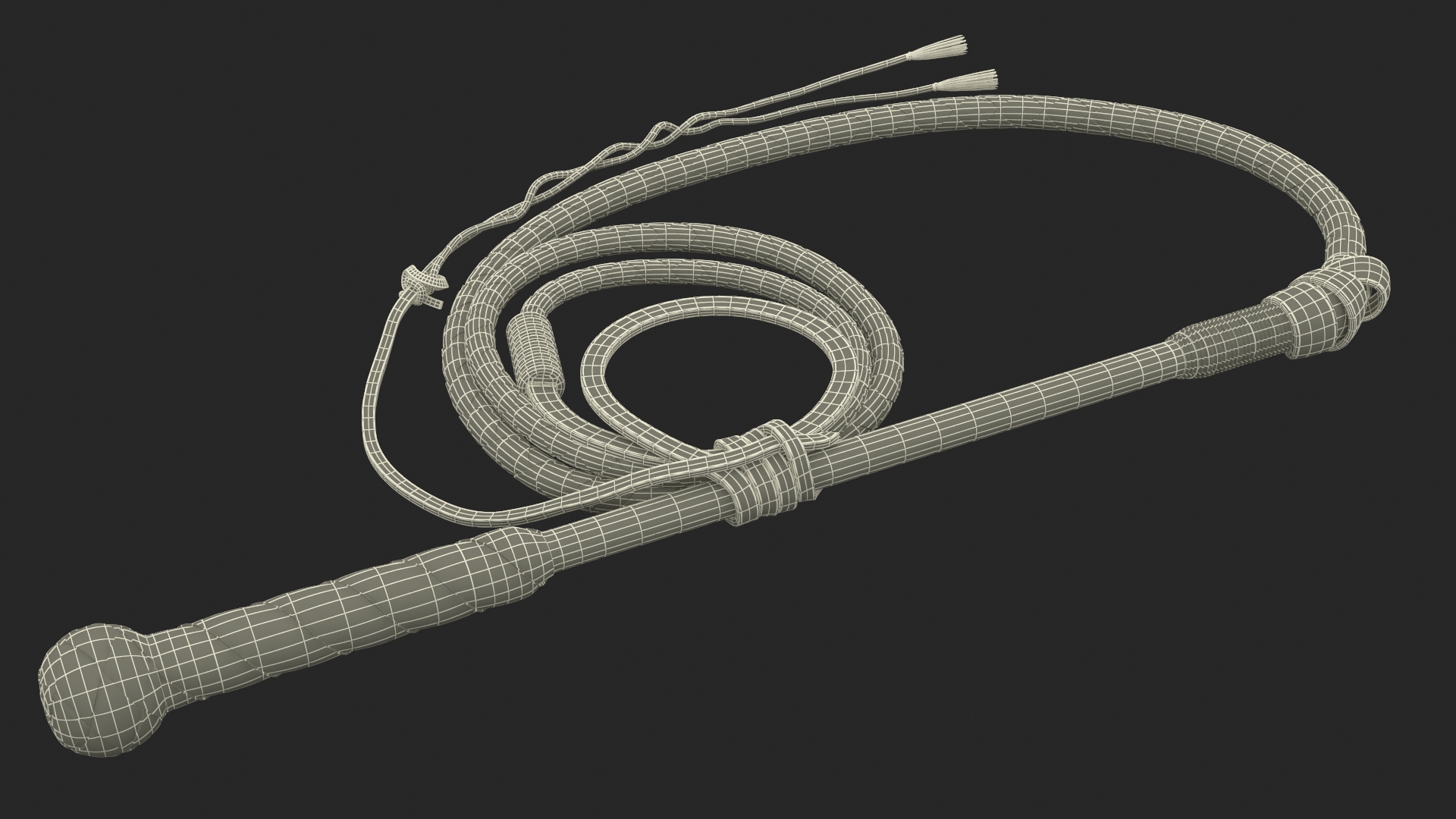 Leather Whip Braided Brown Rigged for Cinema 4D 3D