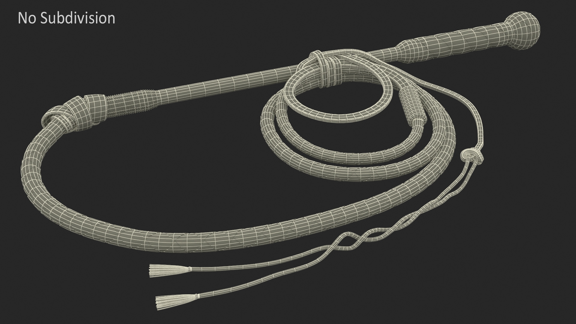 Leather Whip Braided Brown Rigged for Cinema 4D 3D