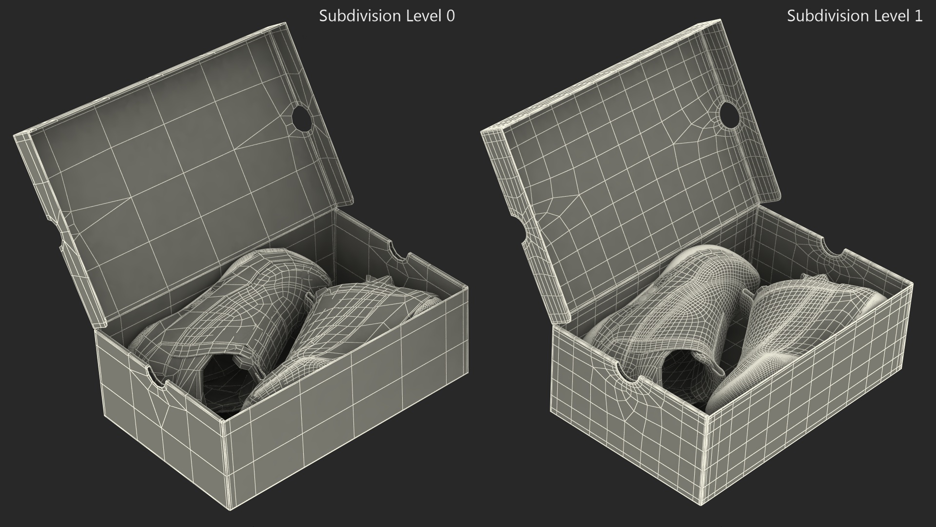 Shoe Box with Nike Sneakers 3D