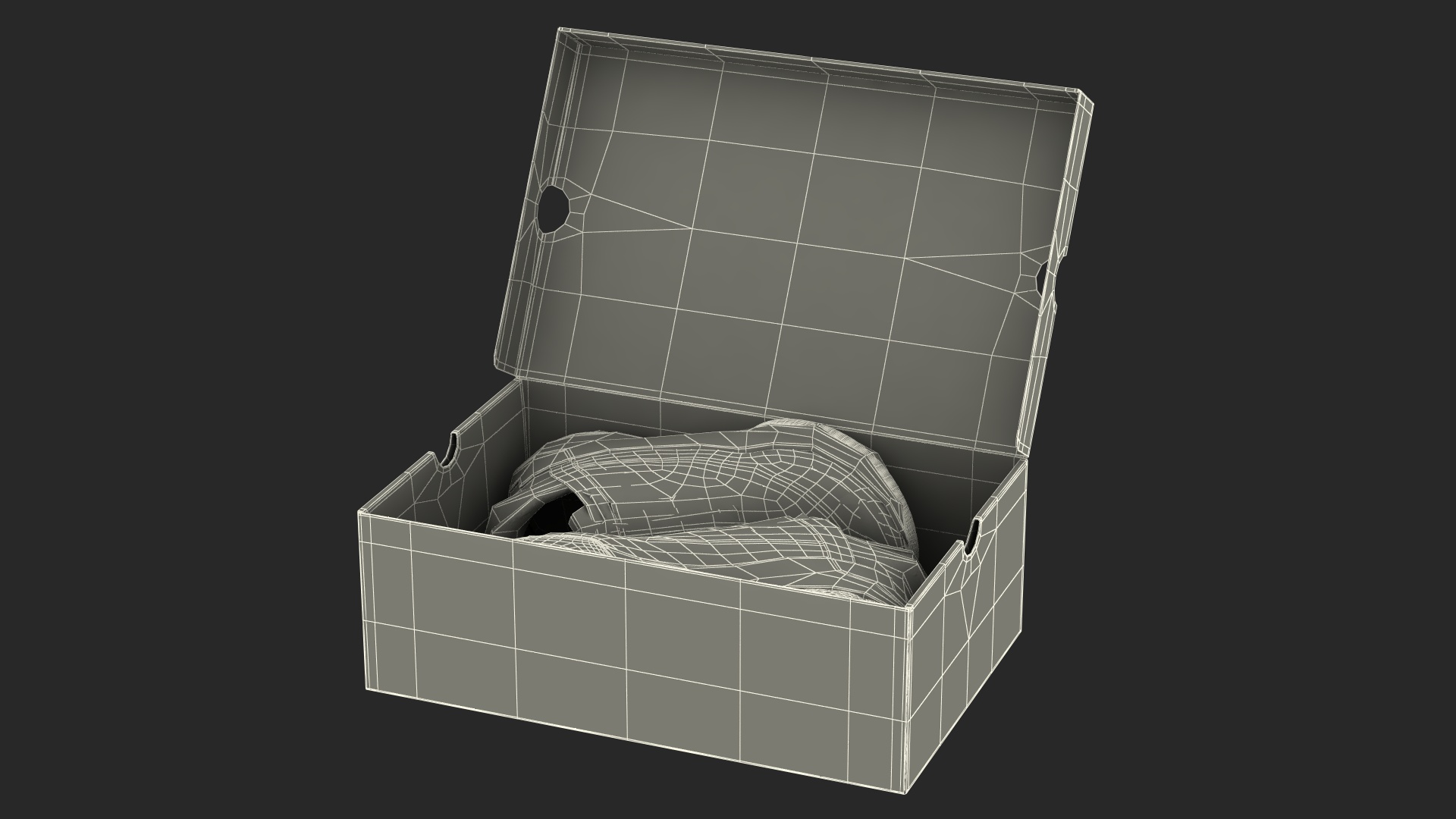 Shoe Box with Nike Sneakers 3D