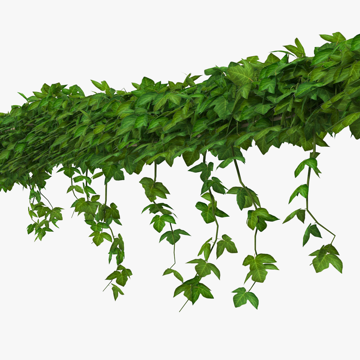 Ivy Shrub 3D Model