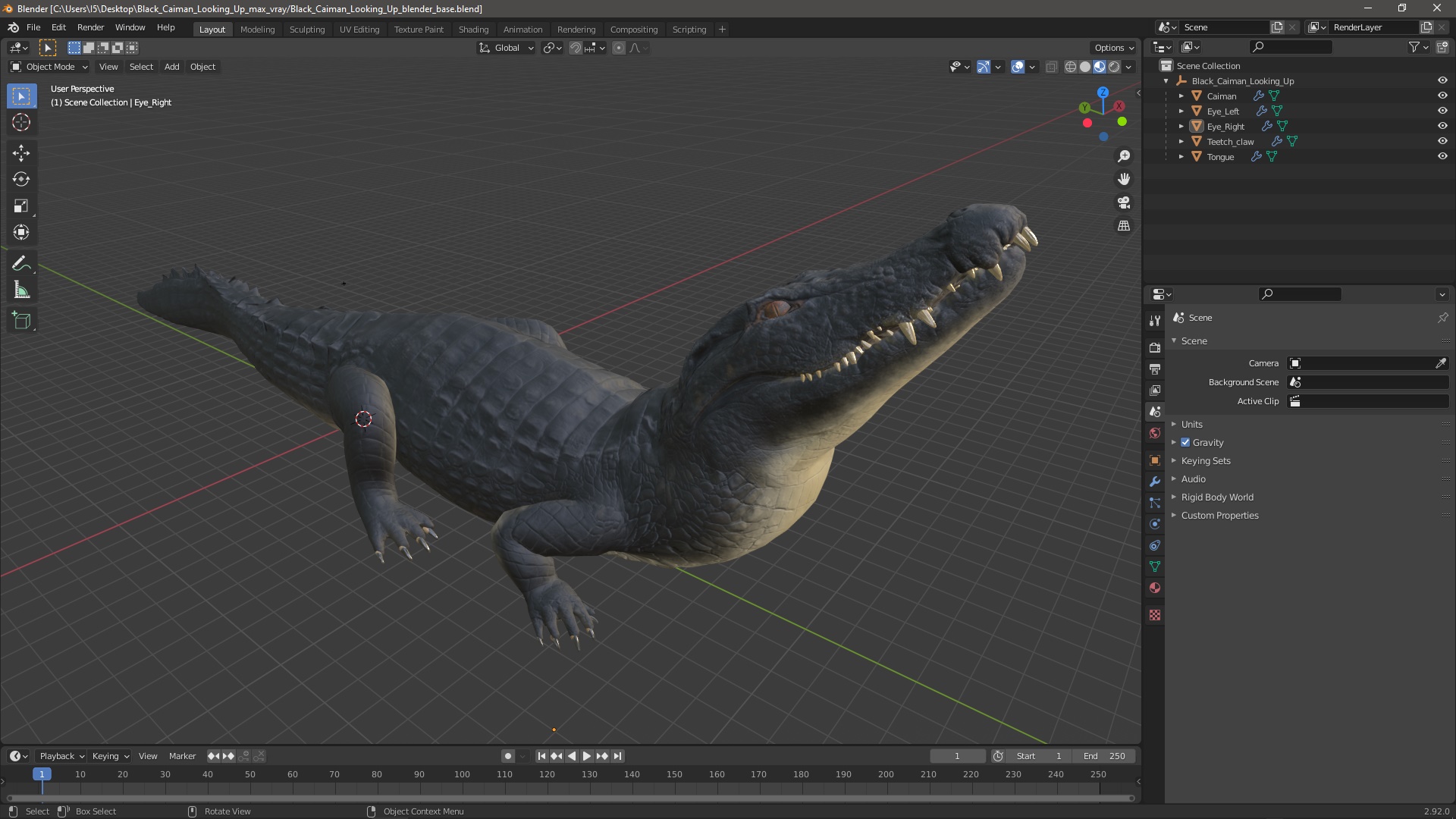 3D Black Caiman Looking Up model