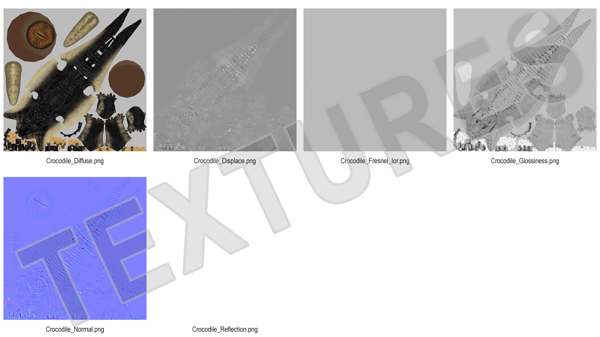 3D Black Caiman Looking Up model