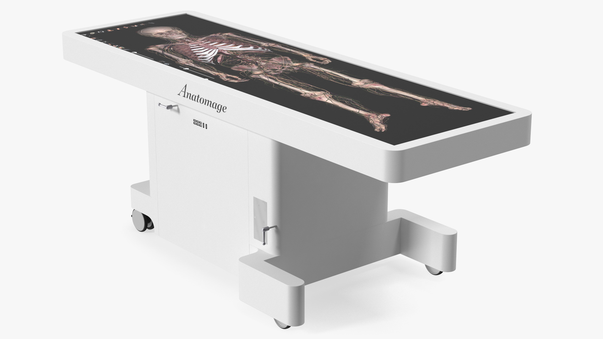 3D Horizontal Anatomical Training Table