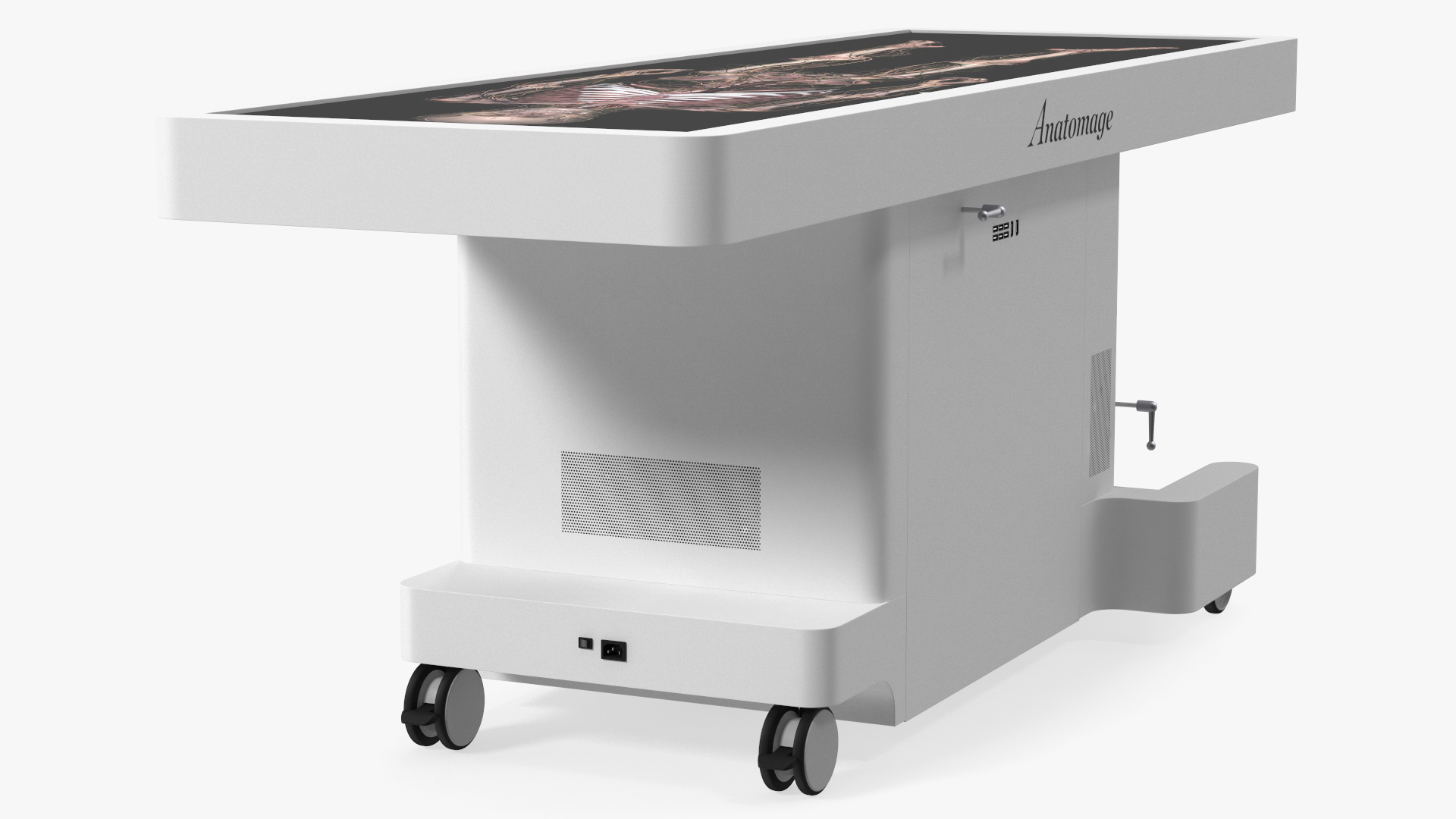 3D Horizontal Anatomical Training Table