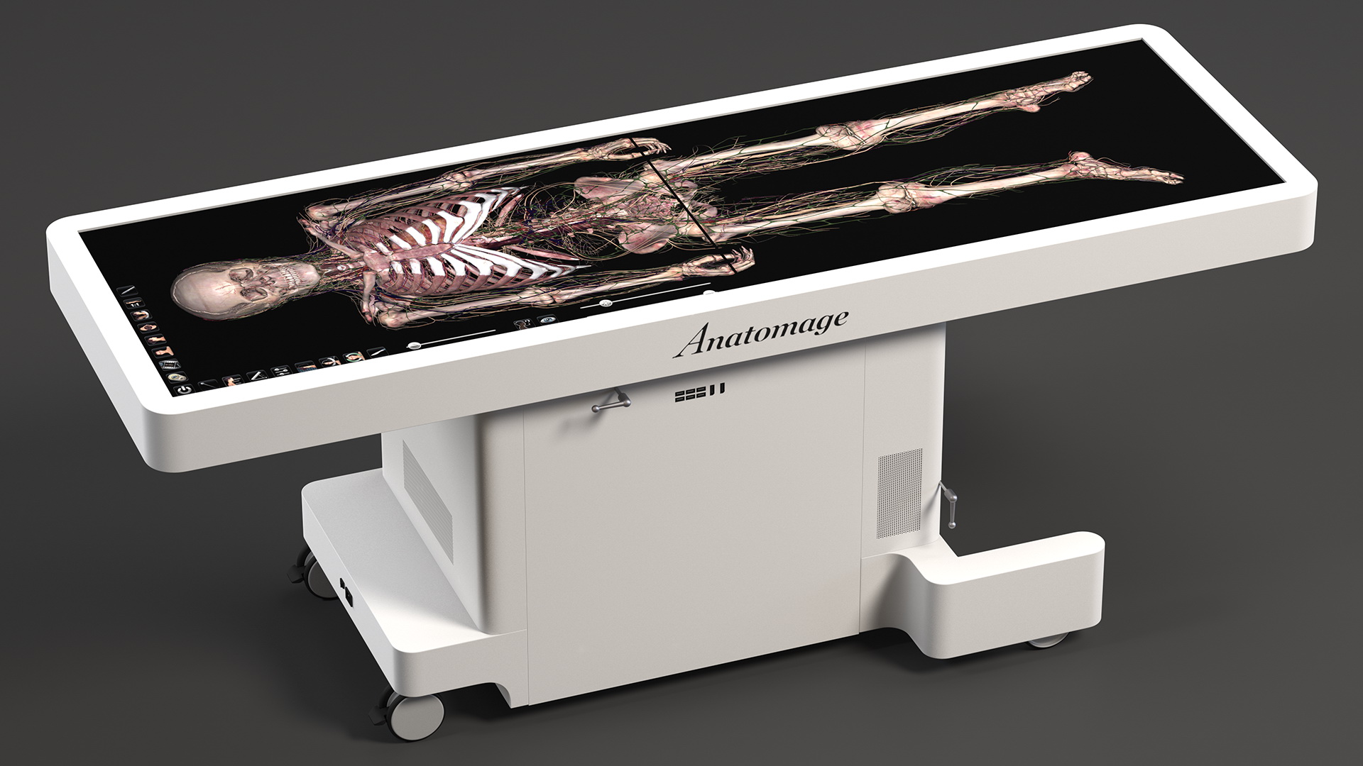 3D Horizontal Anatomical Training Table