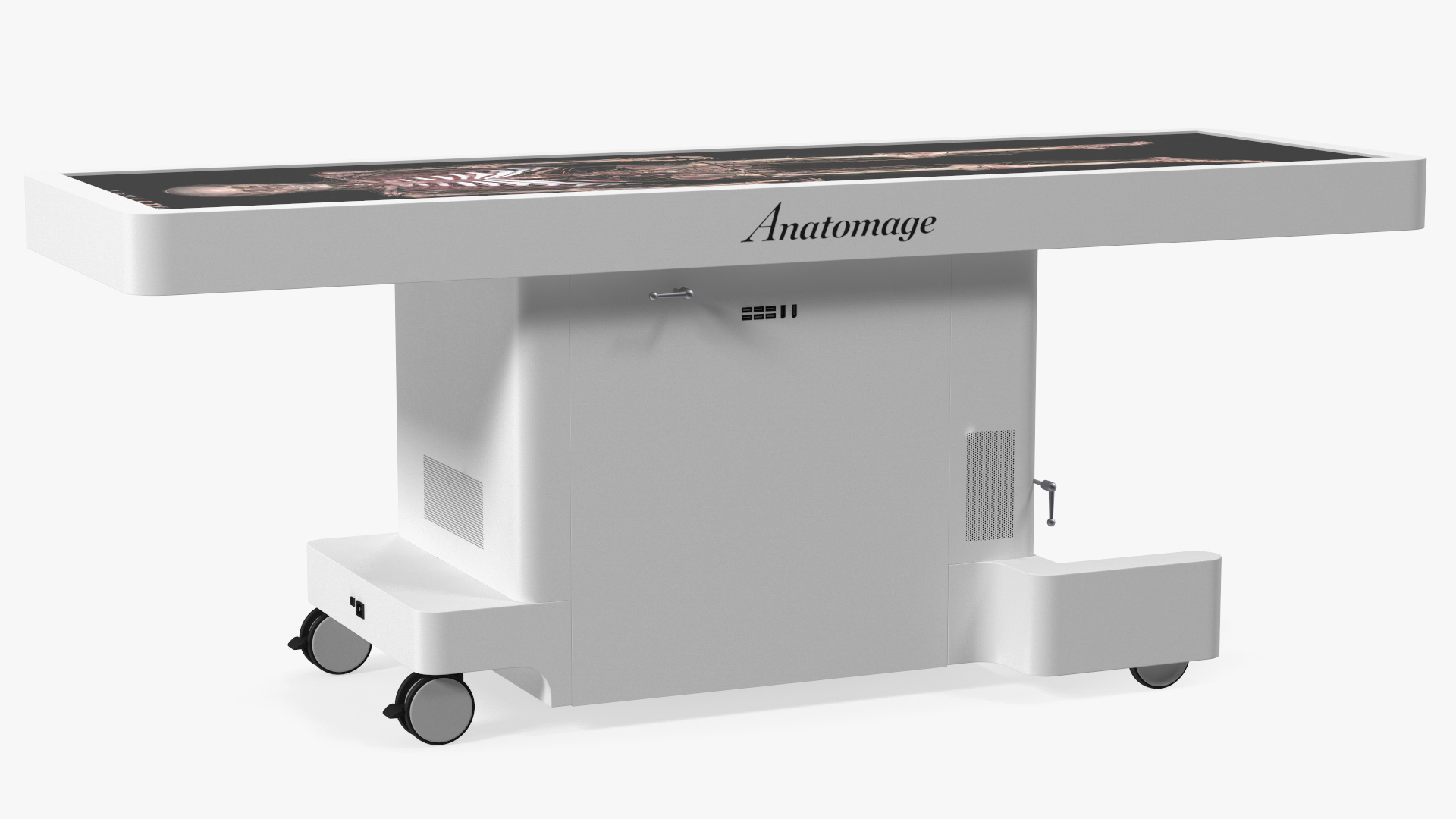 3D Horizontal Anatomical Training Table