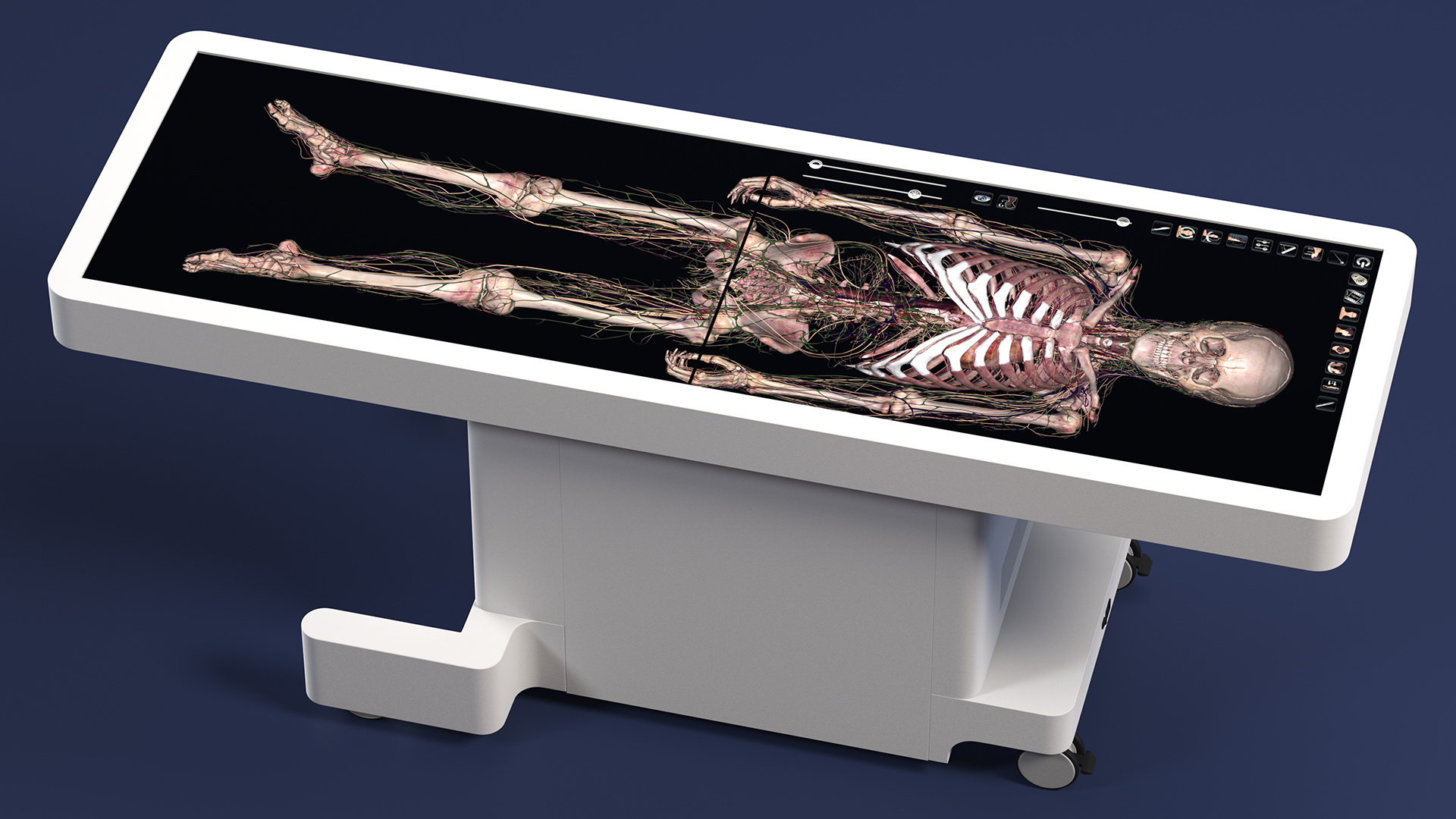 3D Horizontal Anatomical Training Table
