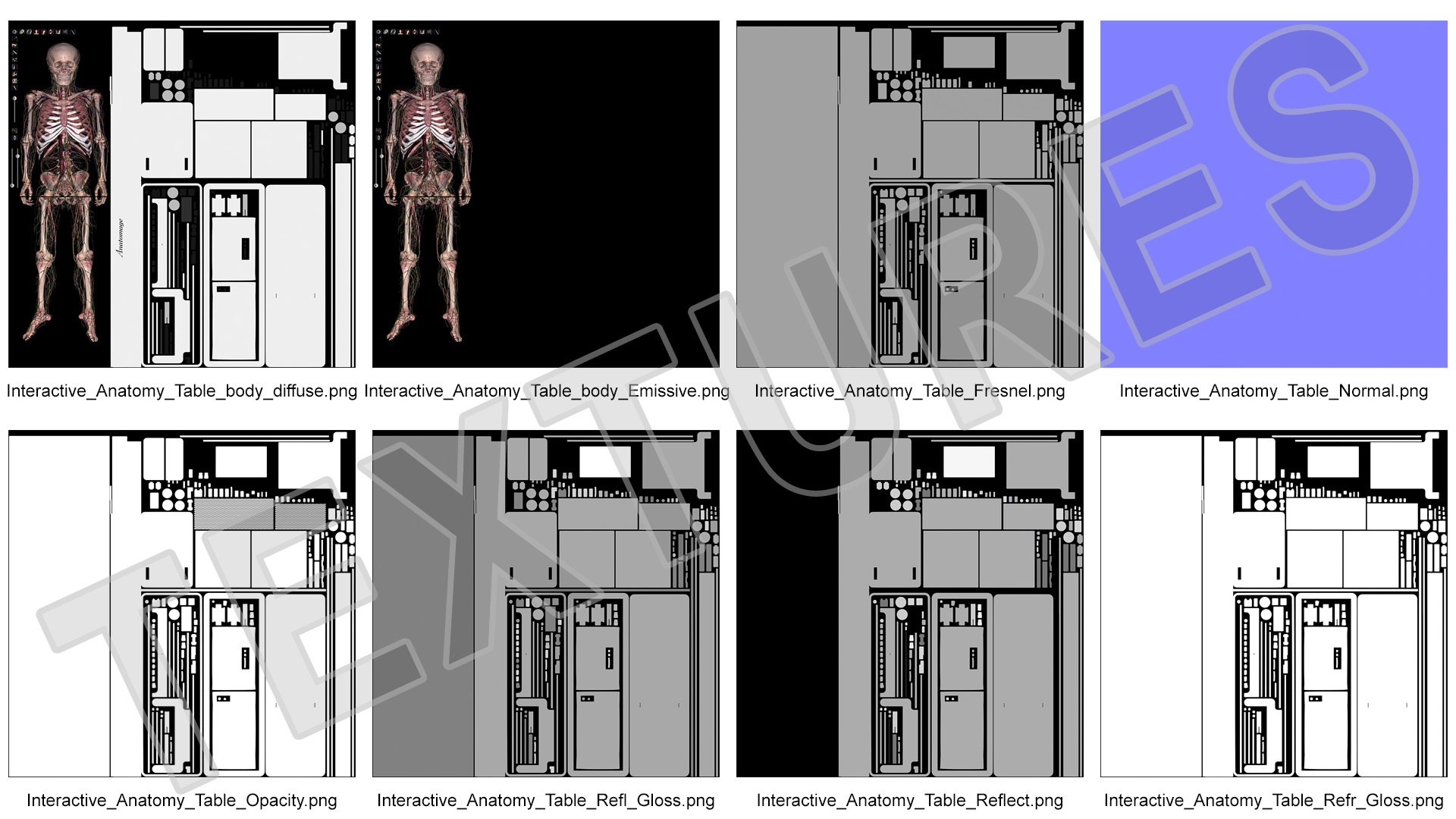 3D Horizontal Anatomical Training Table