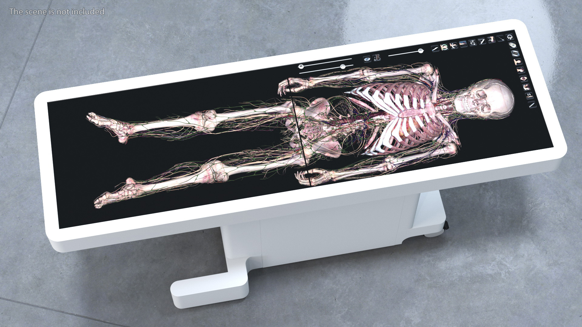 3D Horizontal Anatomical Training Table