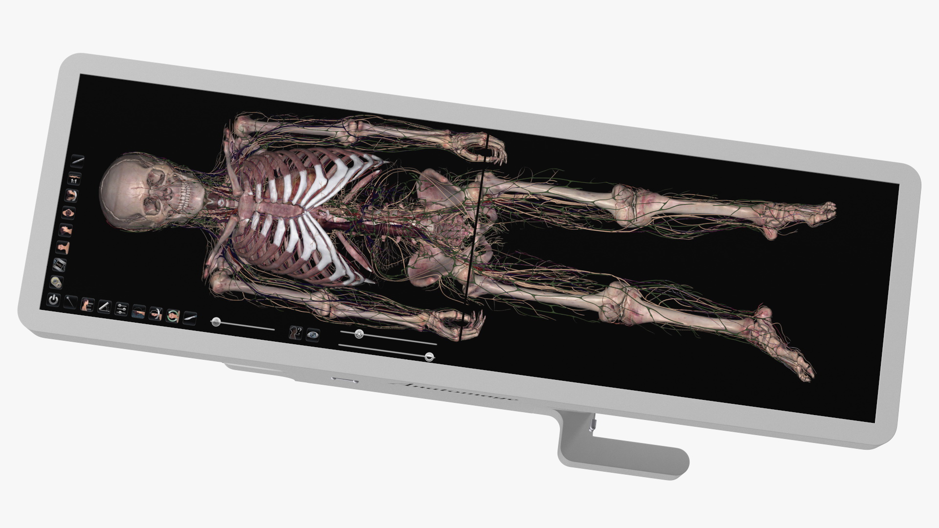 3D Horizontal Anatomical Training Table