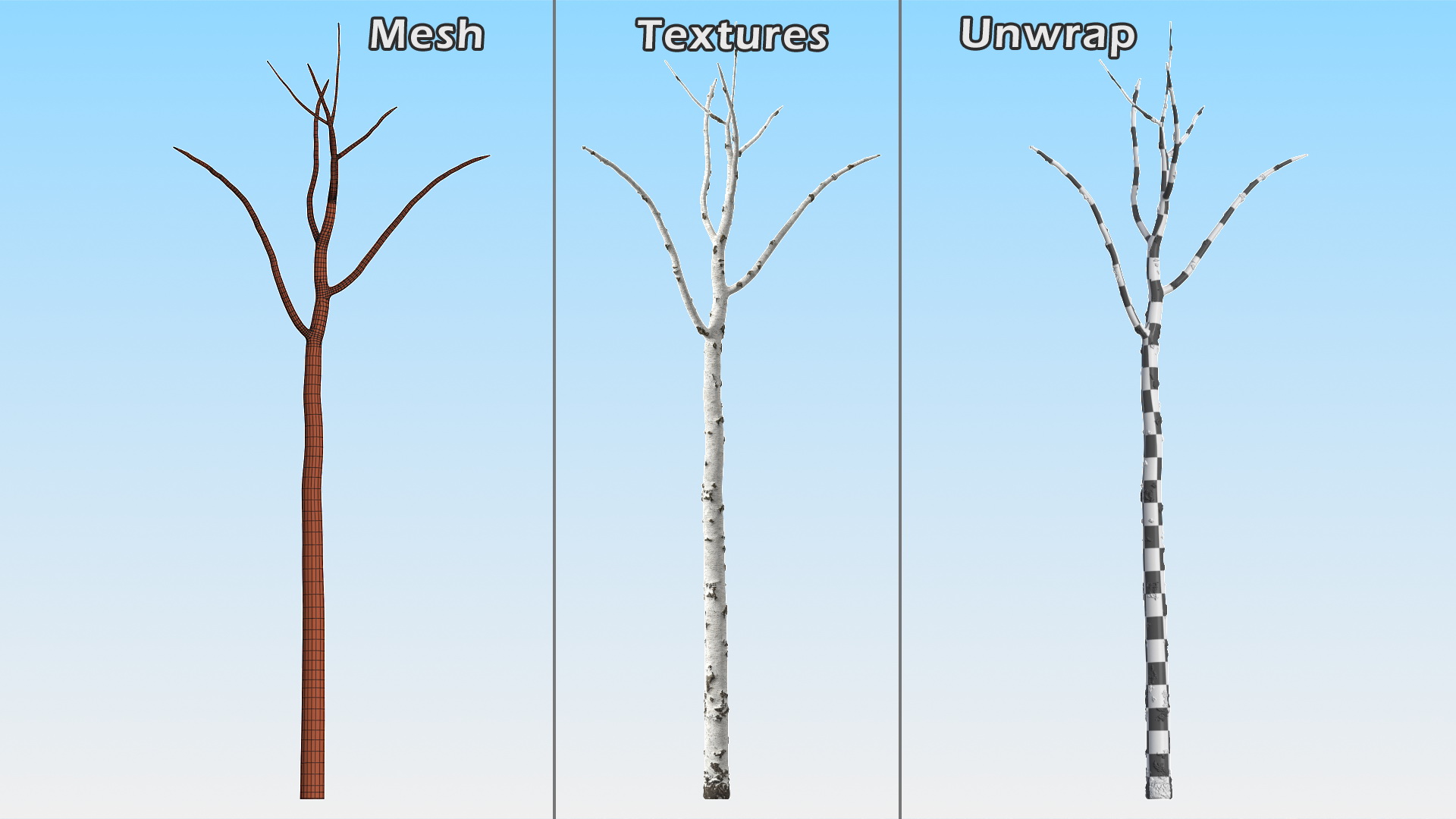 3D Birch Tree Trunk
